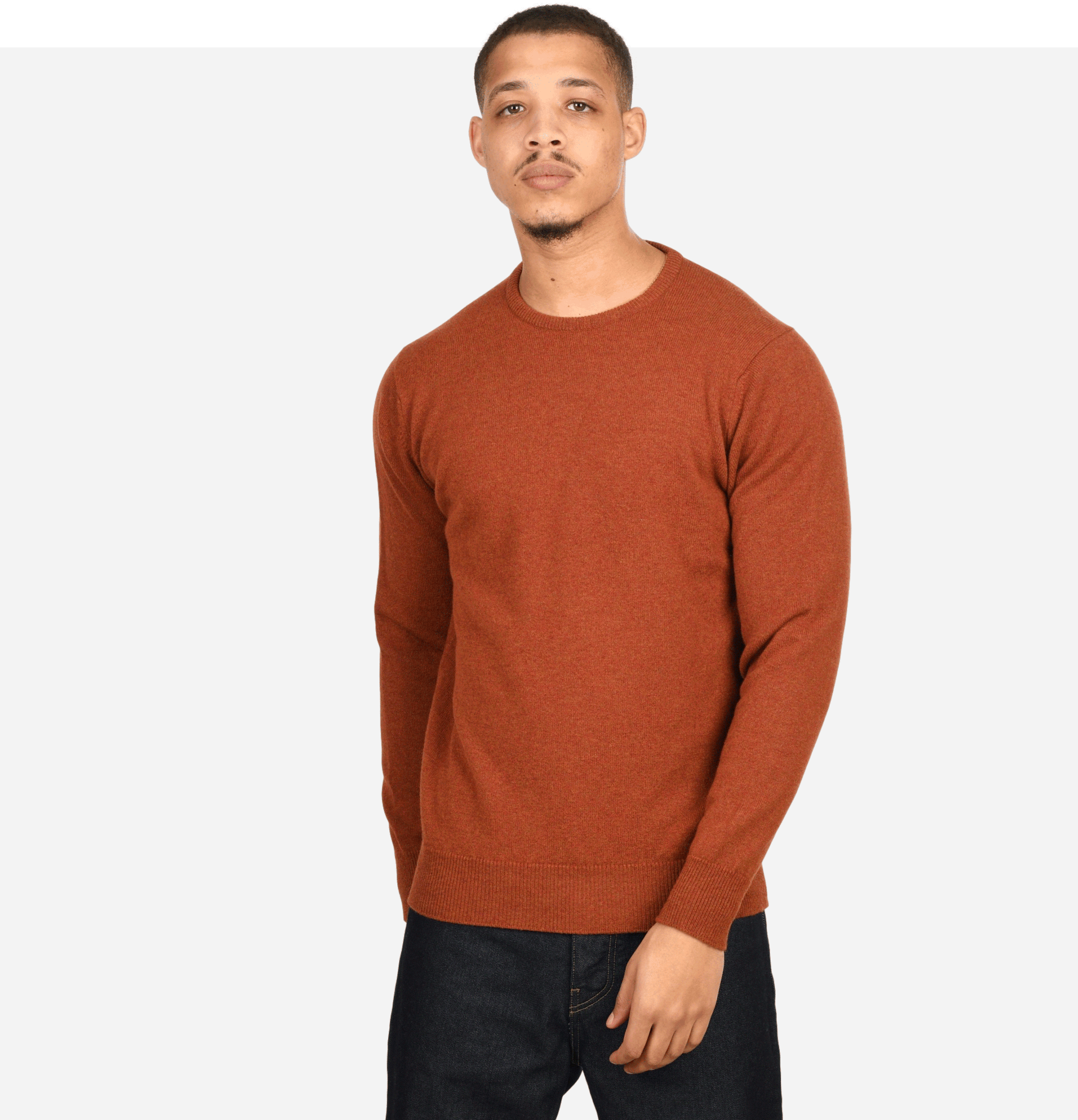 William Lockie Round Neck Pullover Tiger