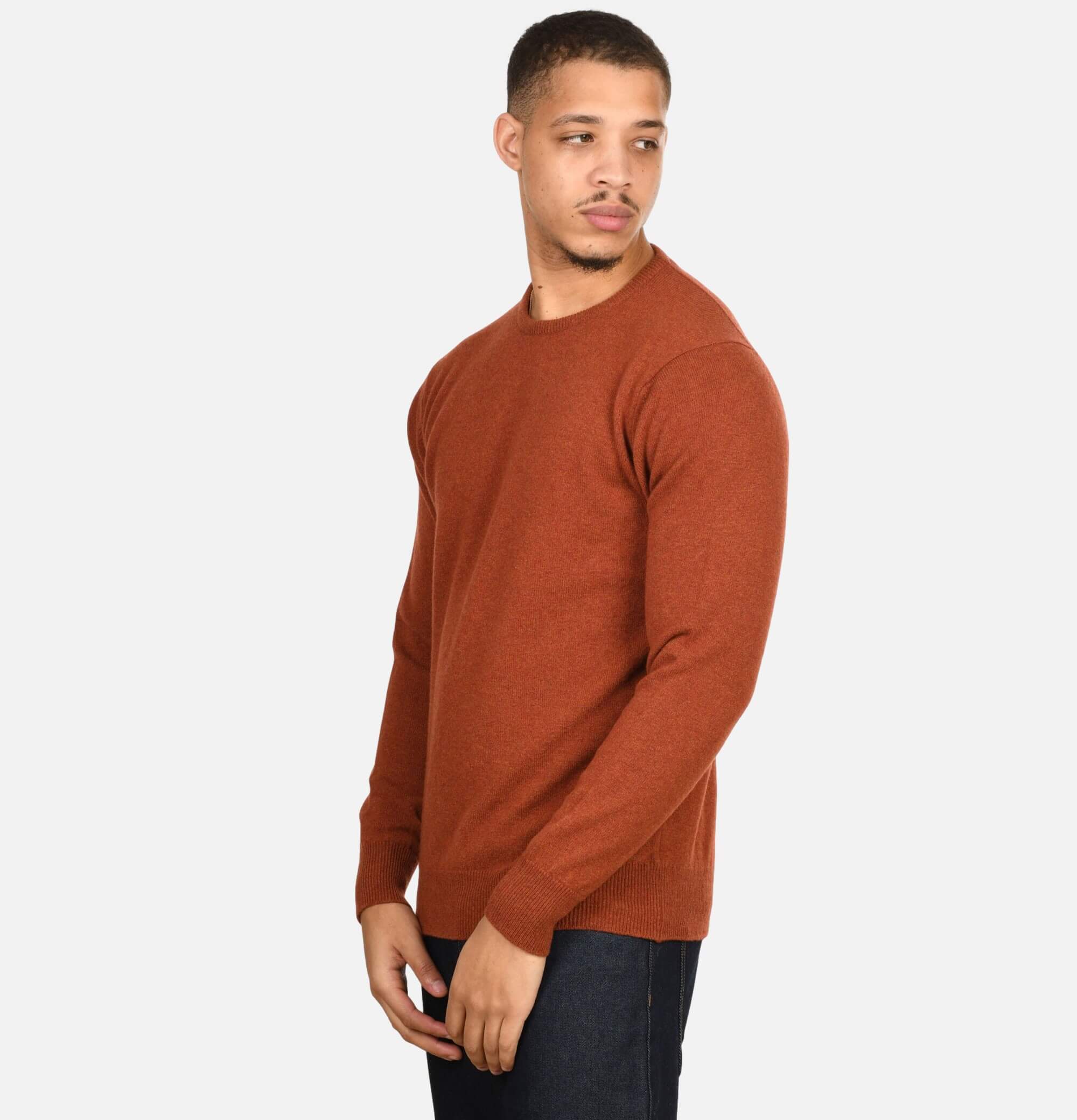 William Lockie Round Neck Pullover Tiger