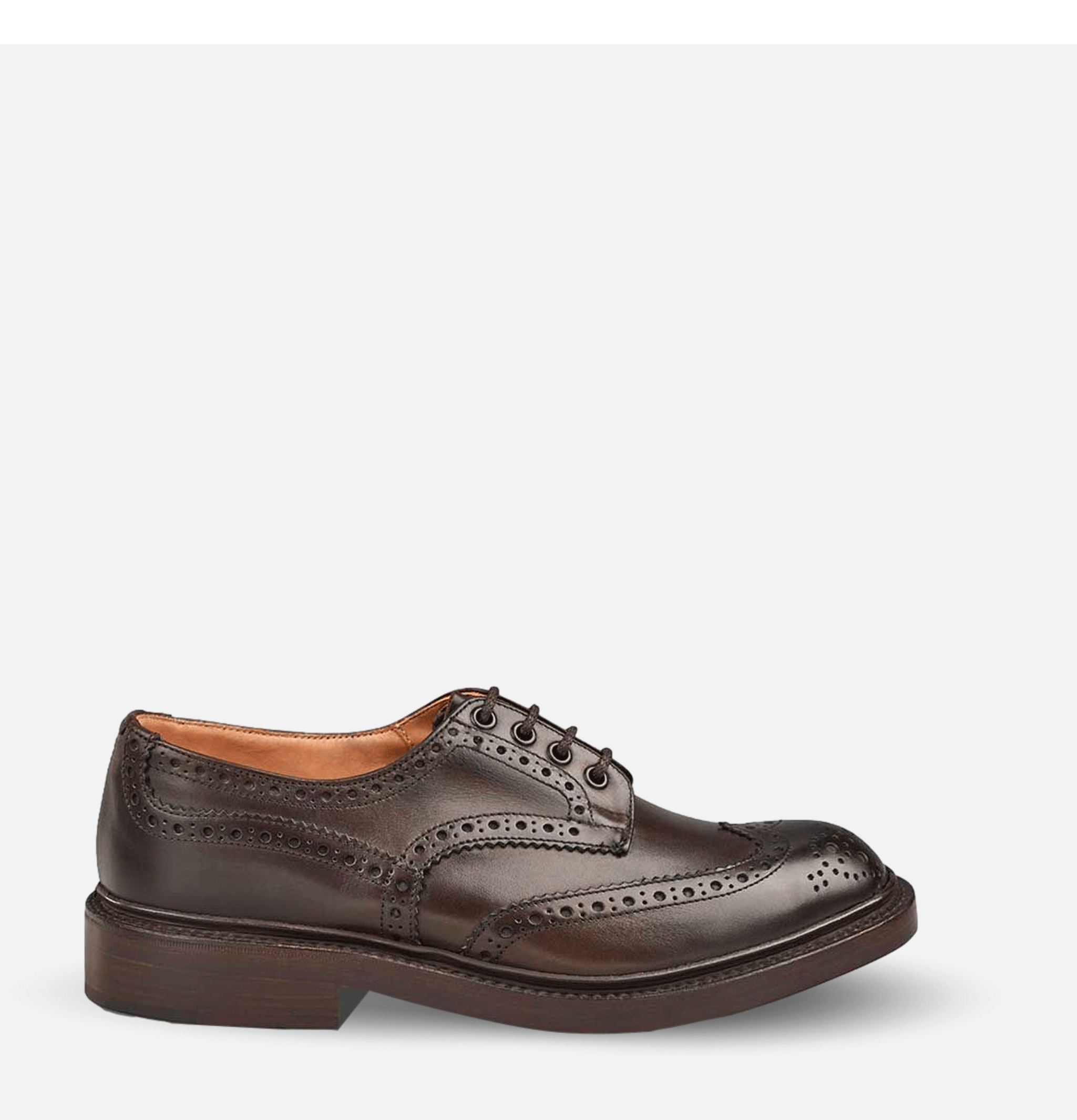 Shoes Bourton Espresso