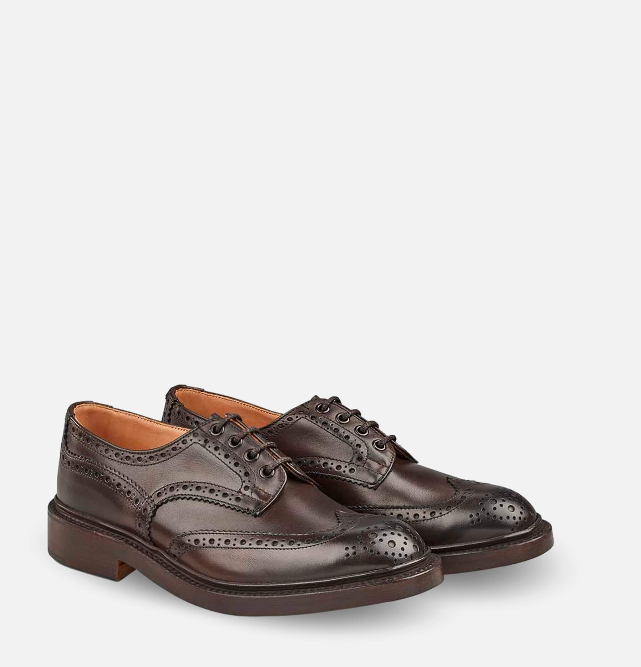 Shoes Bourton Espresso