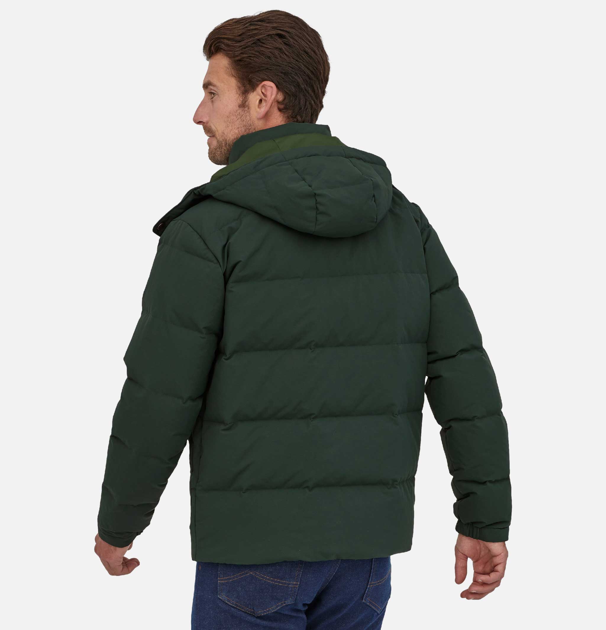 patagonia parka downdrift