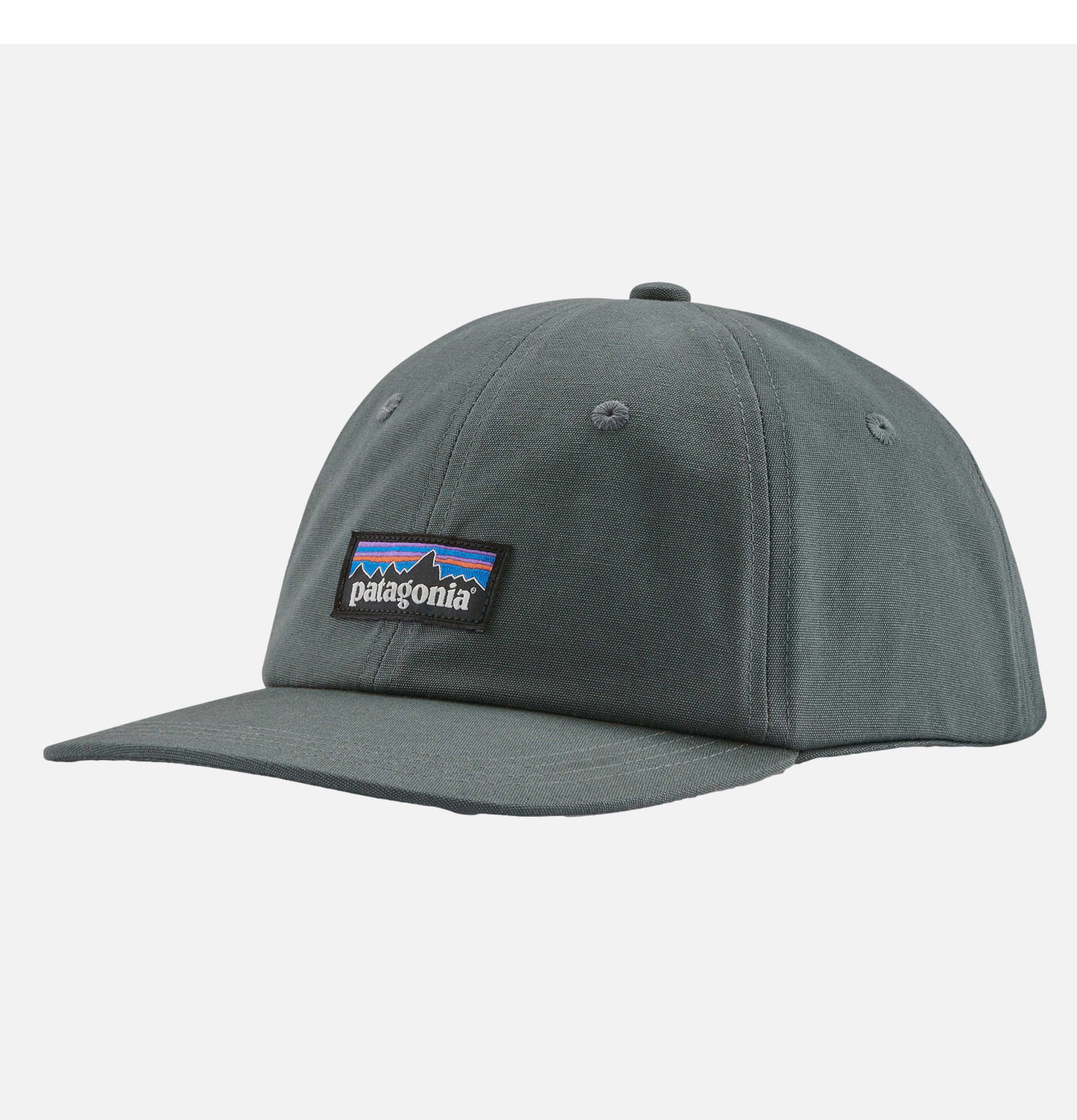 Patagonia P6 Trad Label Cap