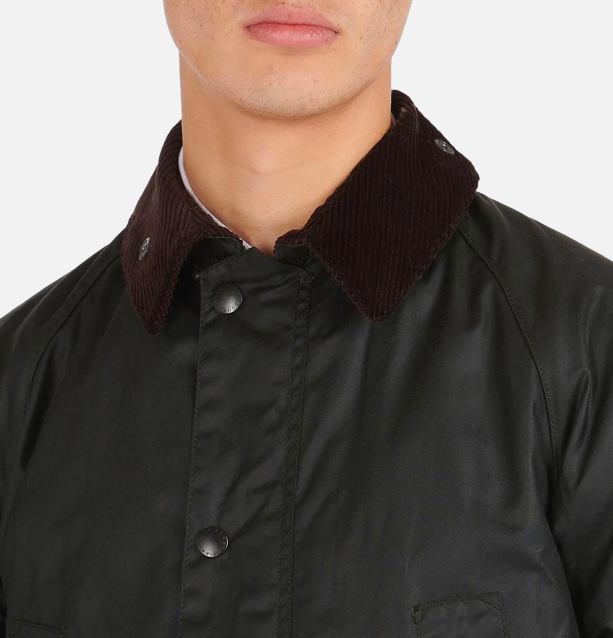 Barbour sl shop bedale sage