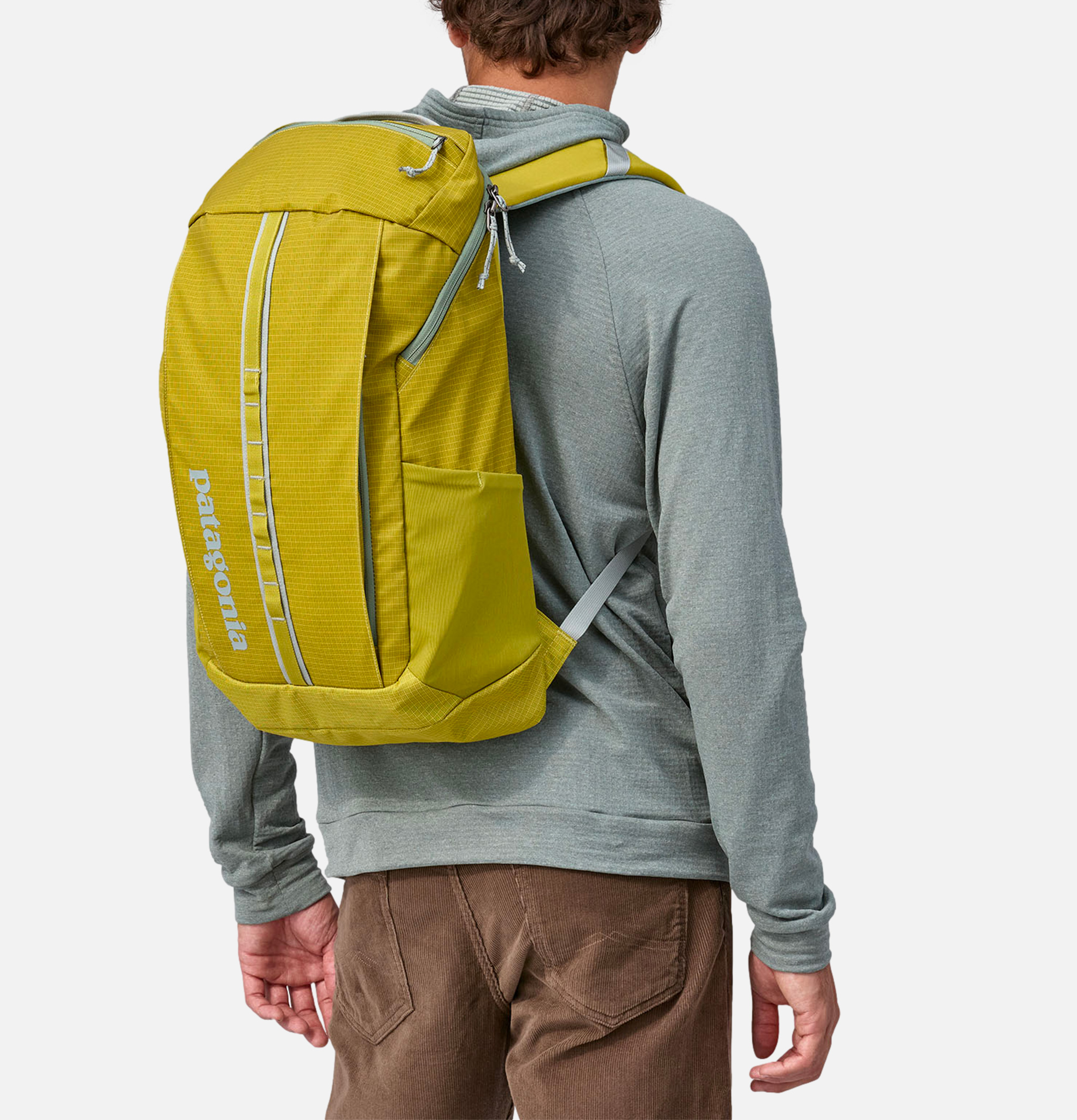 Patagonia black hole pack 25l birch white online