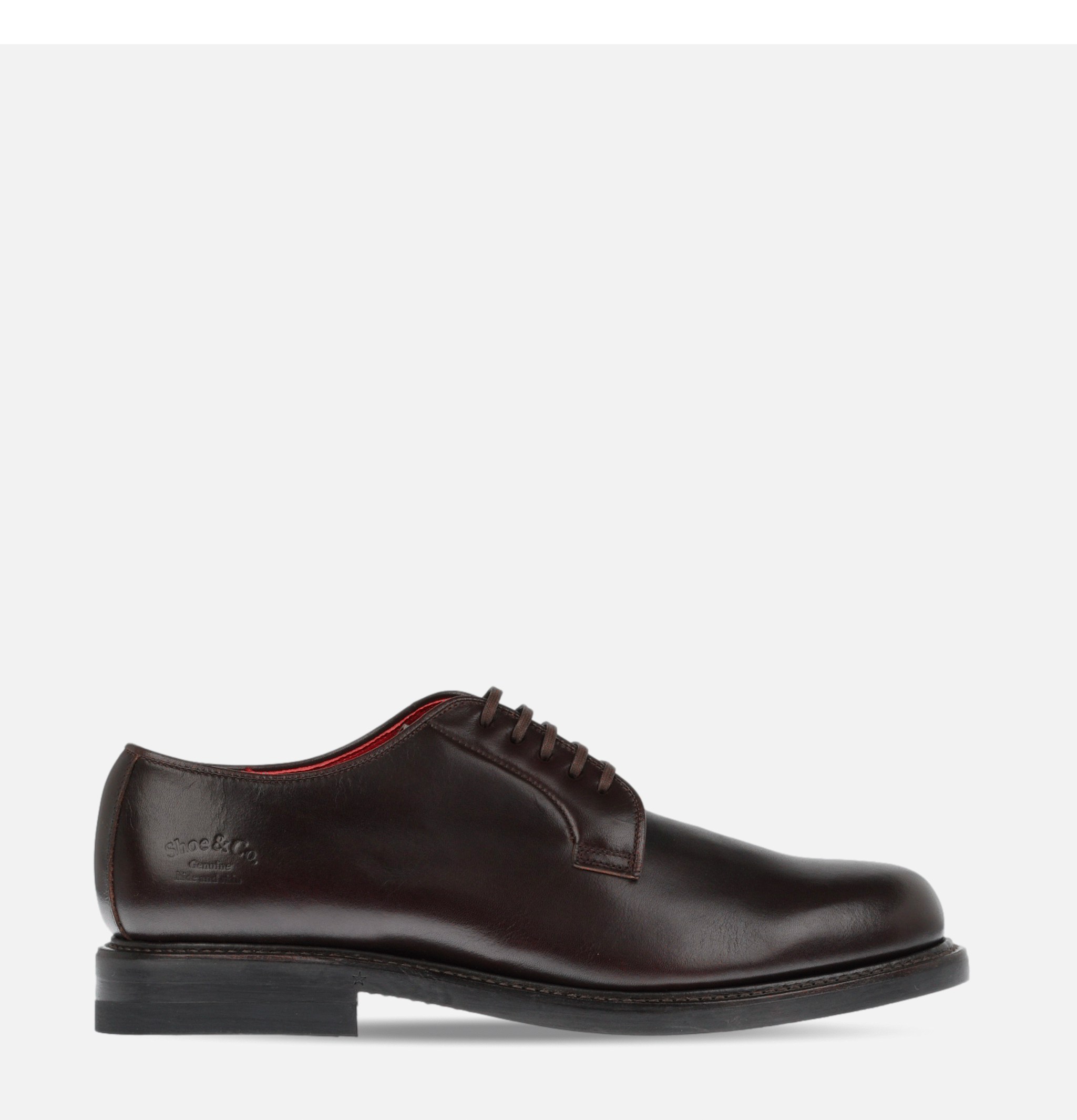 Regal Shoe & Co Plain-toe Shoe Brown Gore-tex