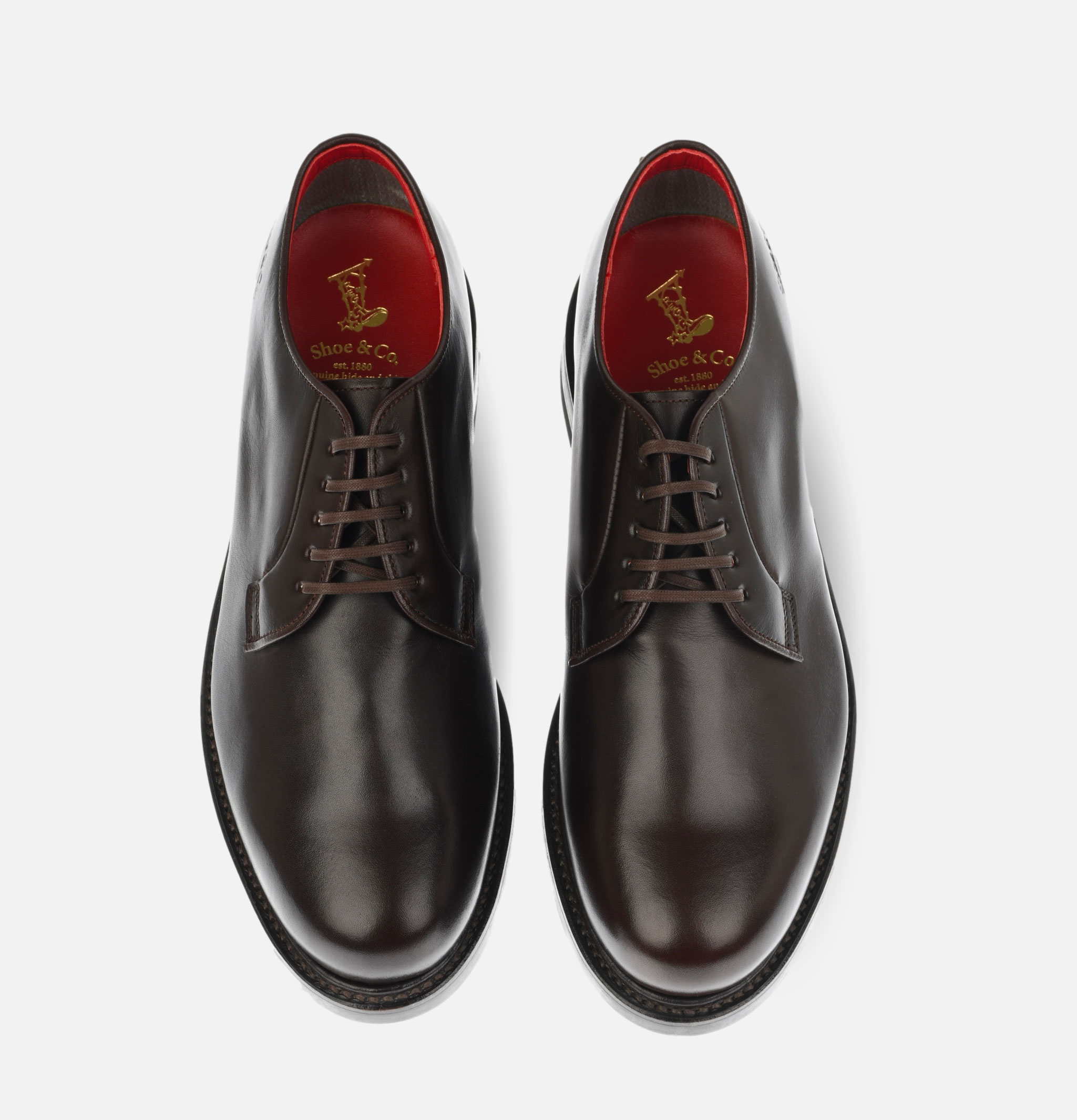 Regal Shoe & Co Plain-toe Shoe Brown Gore-tex