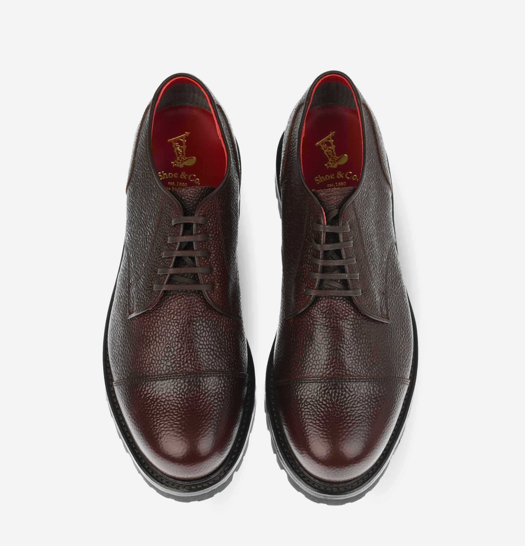 Chaussures Regal Shoe & Co Straight Tip Brown Gore-tex