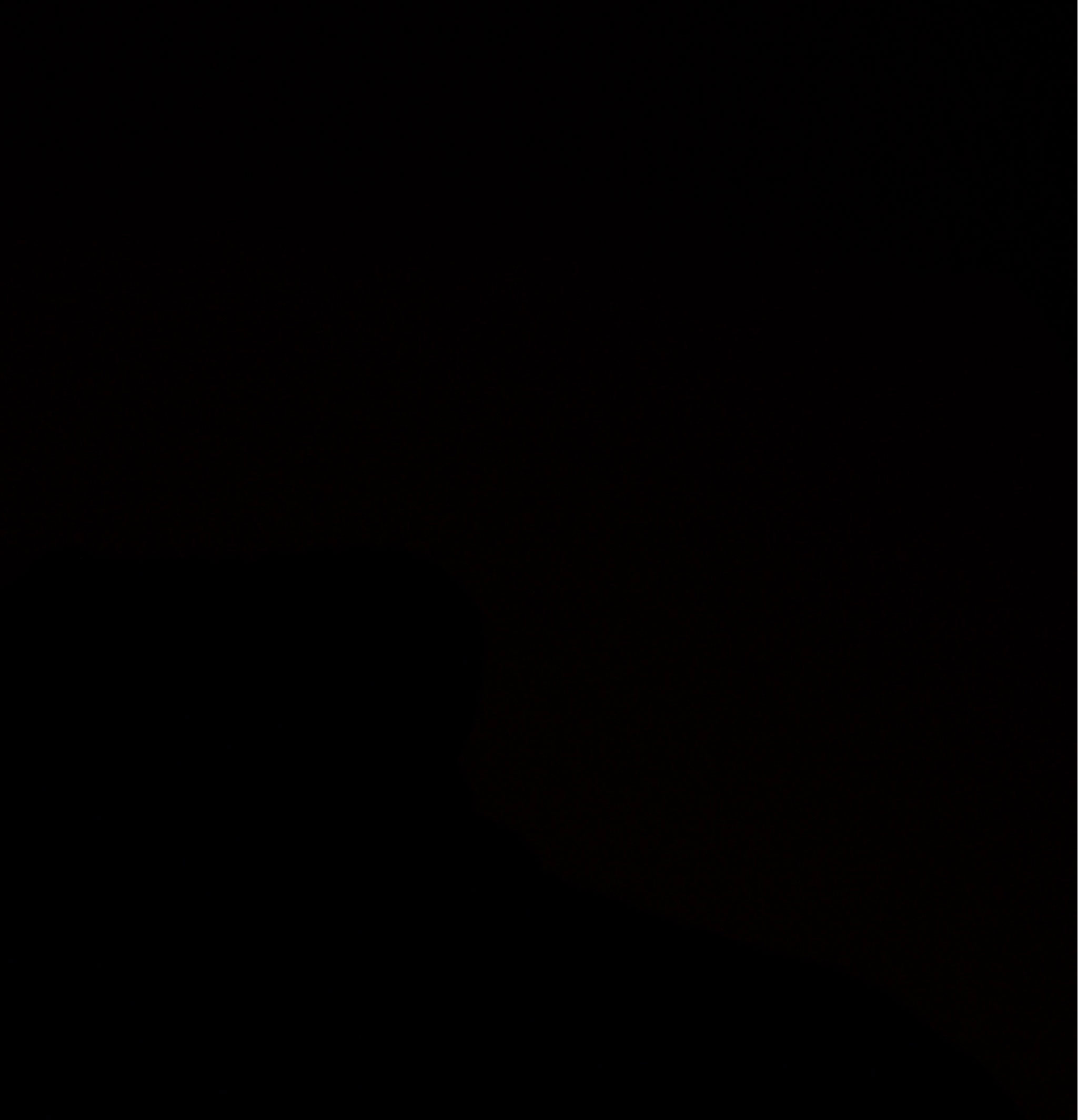 William Lockie Aryan Charcoal roll-neck sweater.