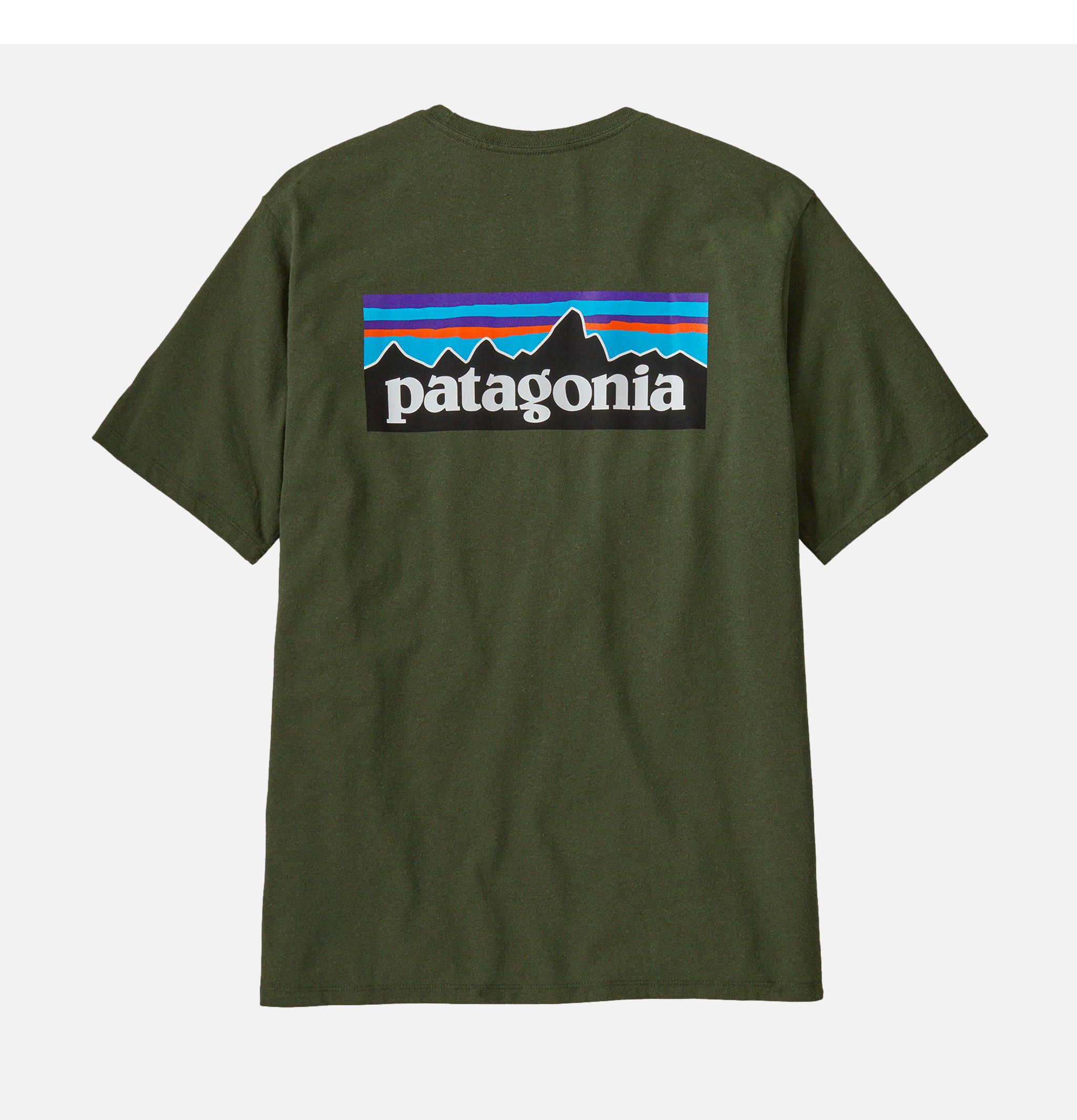 Patagonia P6 Logo Tee Torrey Pine Green