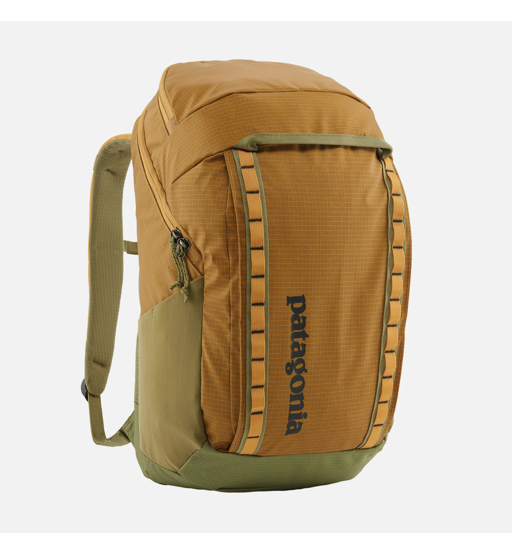 Black Hole Bag Pack 32l Fishgo Patagonia Accessoires