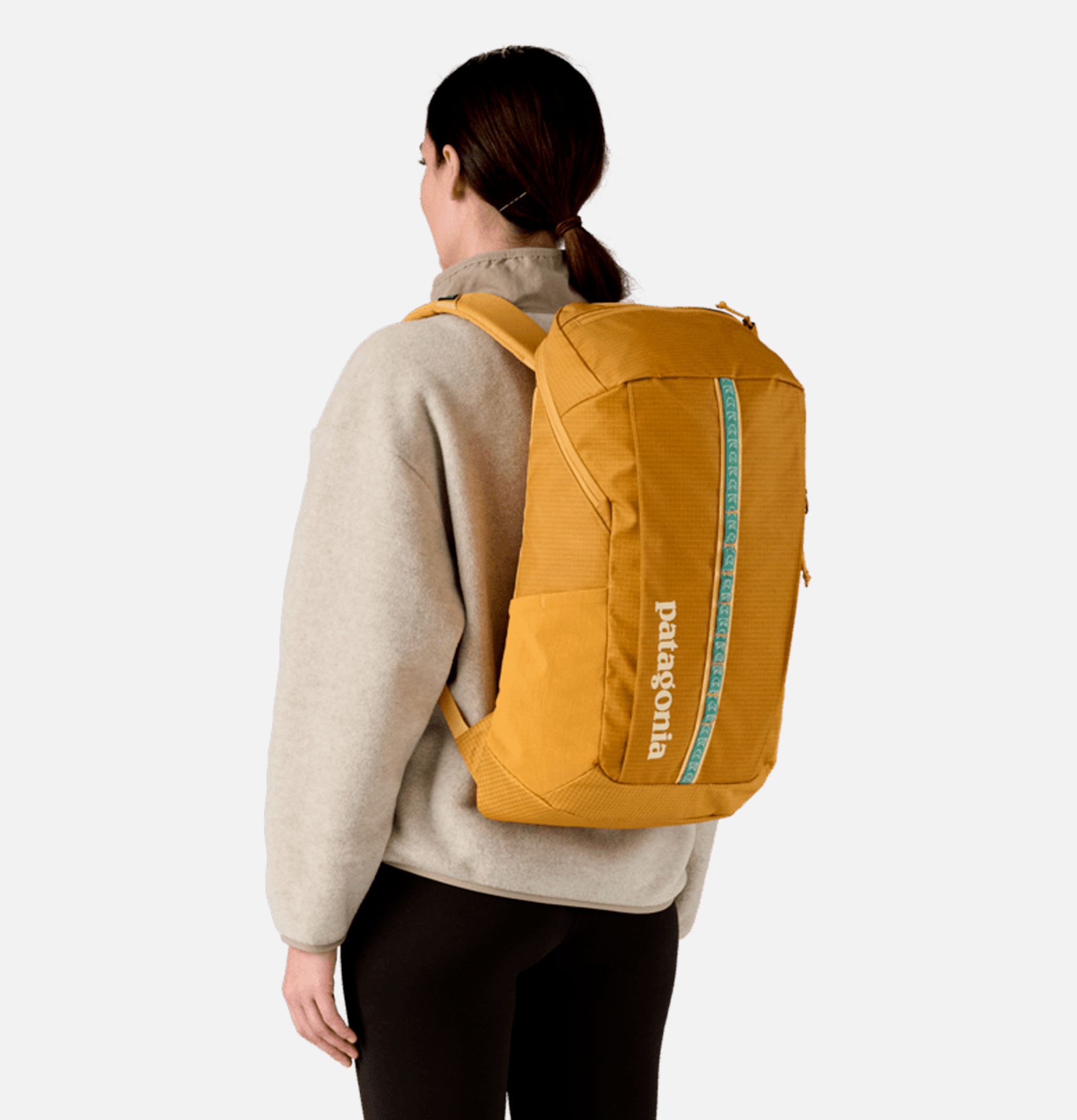 Patagonia Black Hole 25l Pufferfish Gold