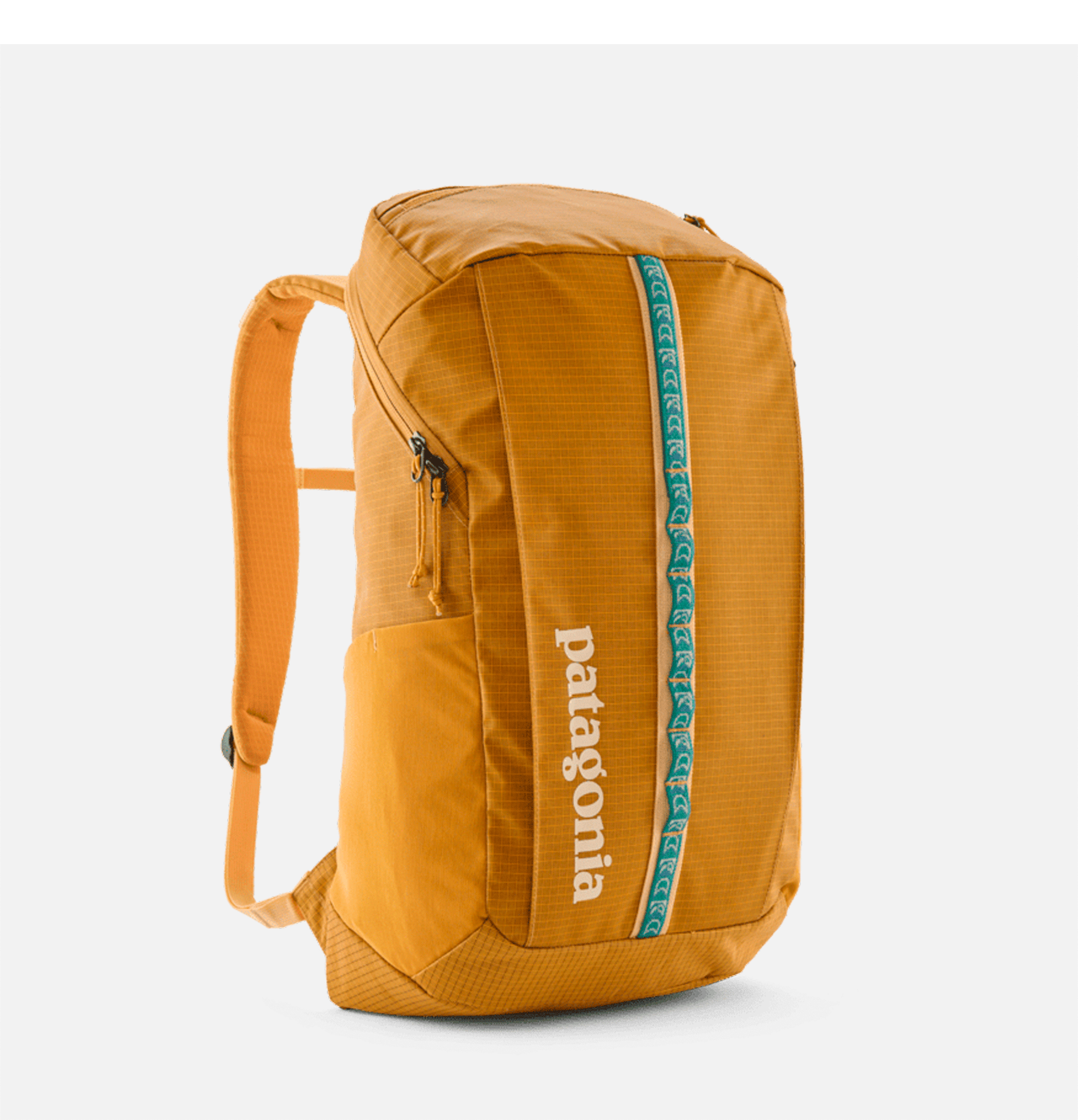 Patagonia Black Hole 25l Pufferfish Gold
