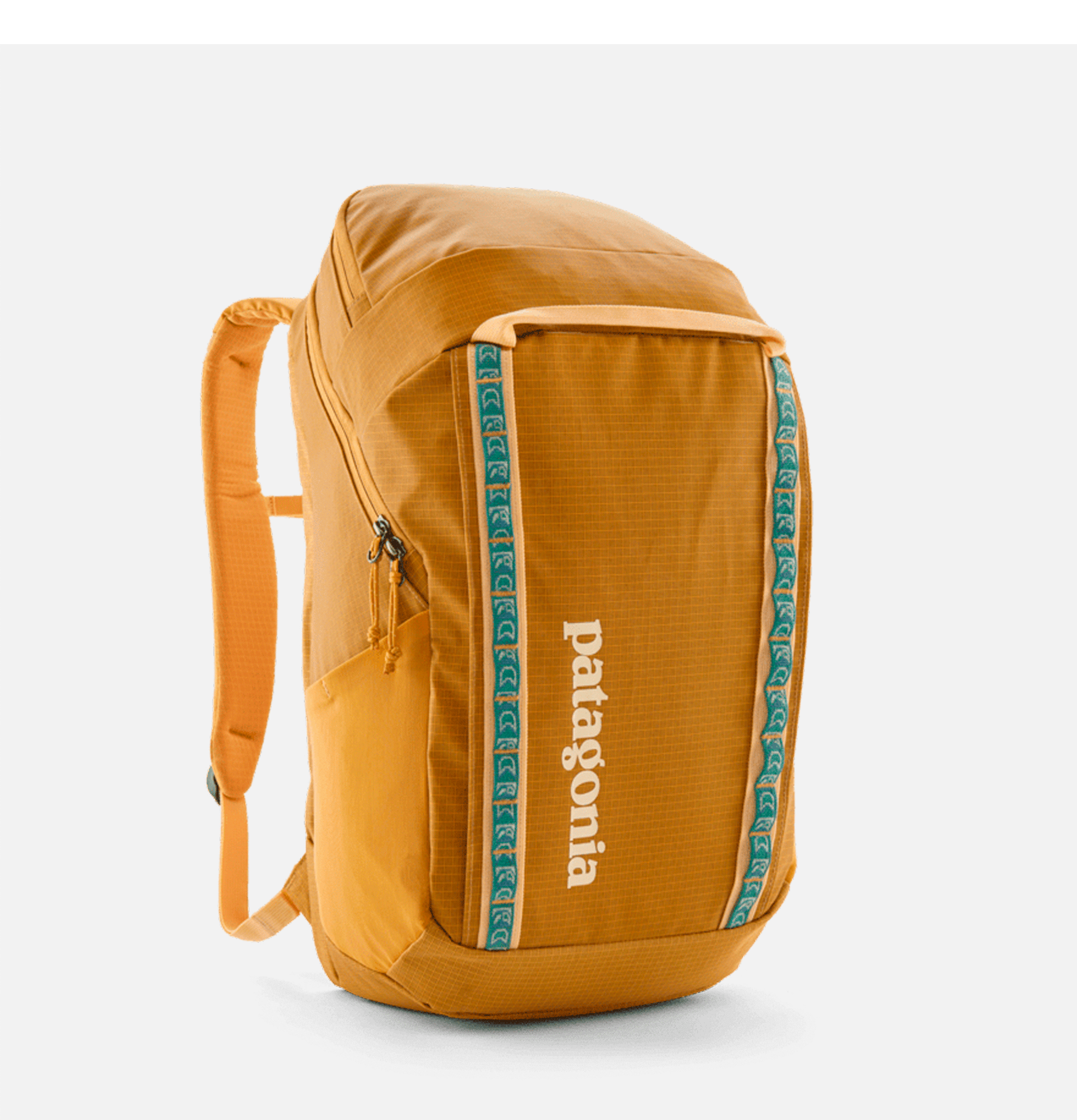 Patagonia Black Hole 32l Pufferfish Gold