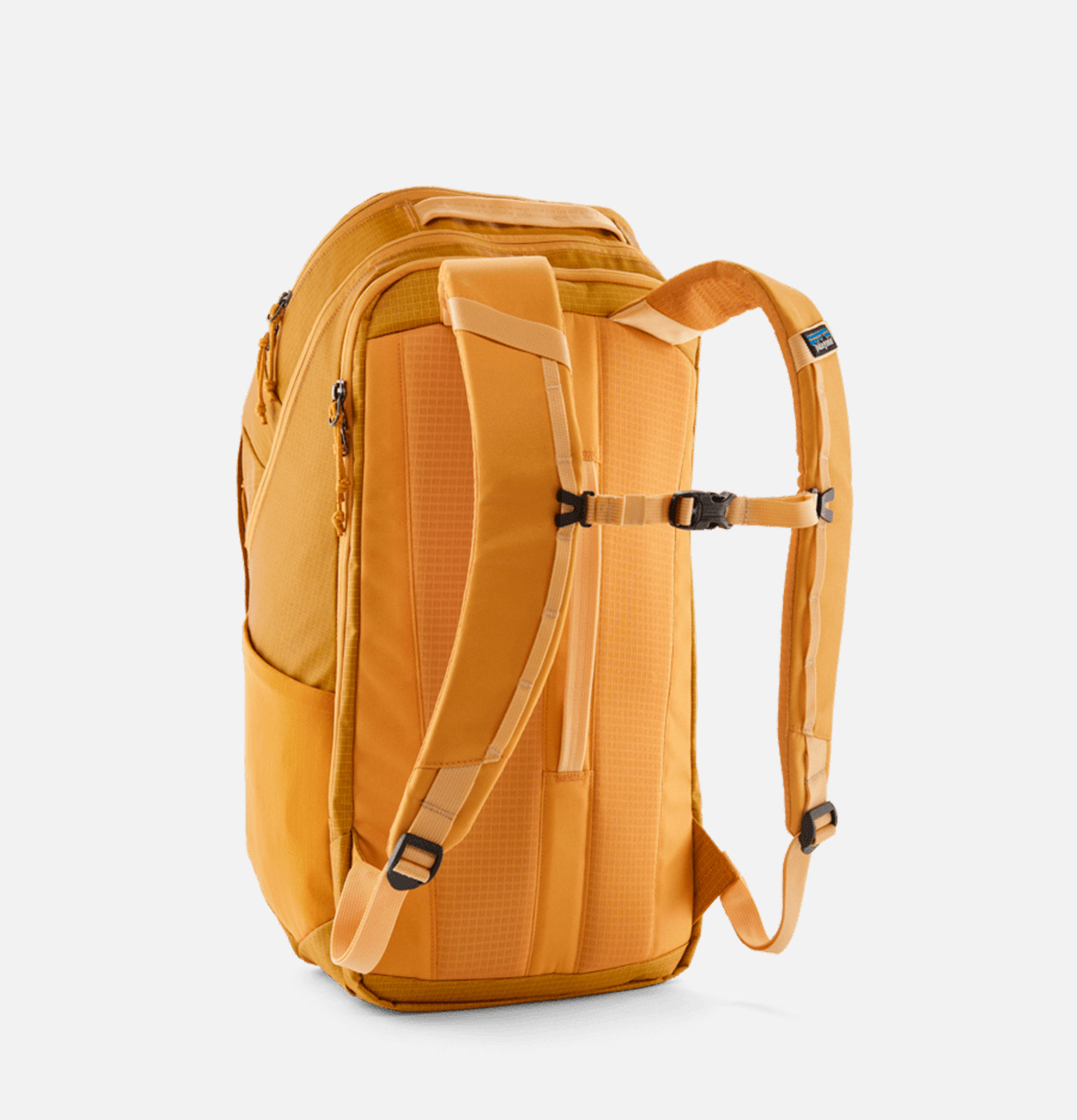 Patagonia Black Hole 32l Pufferfish Gold