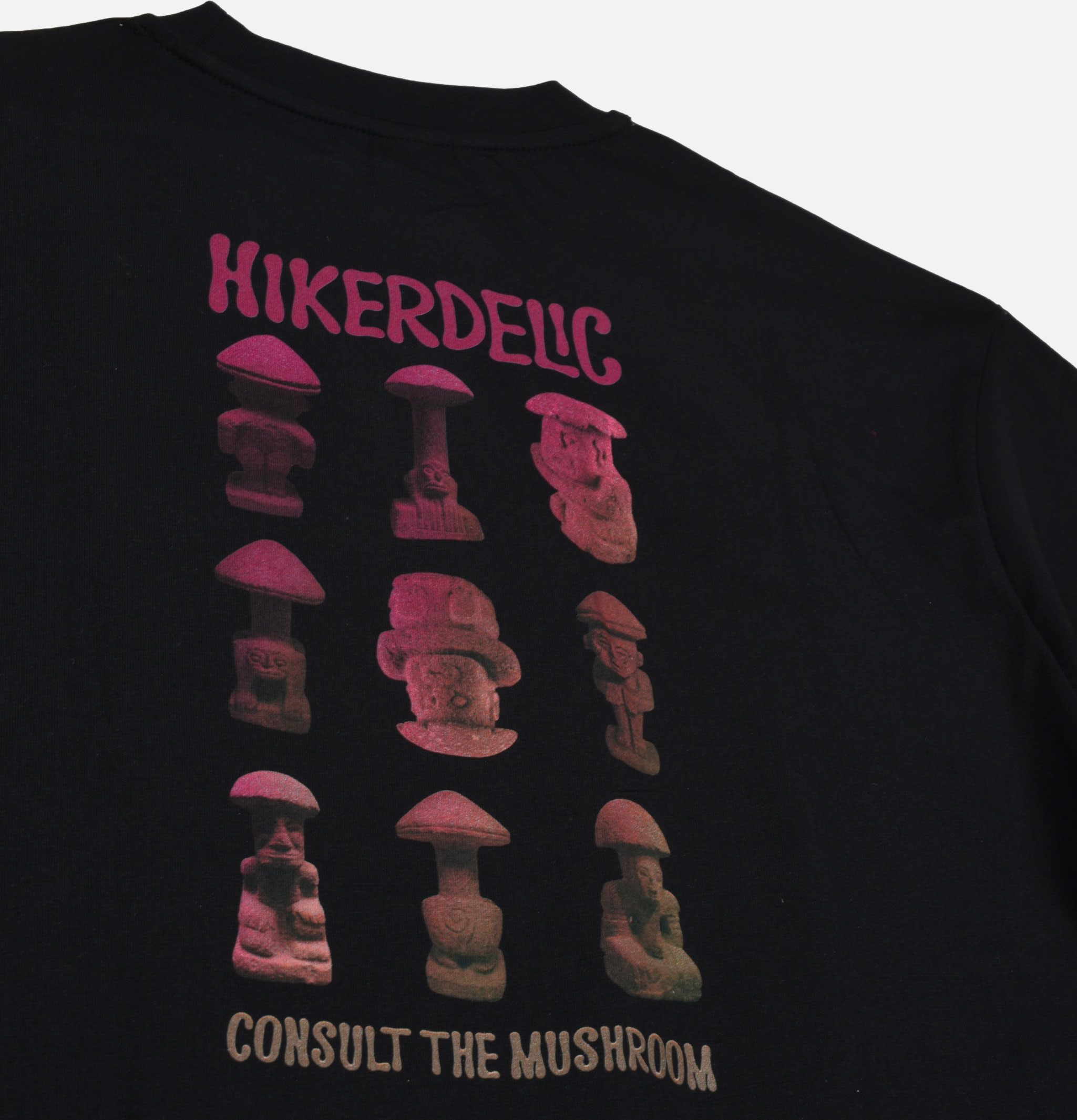 Hikerdelic Consult The Mushroom Tee Black