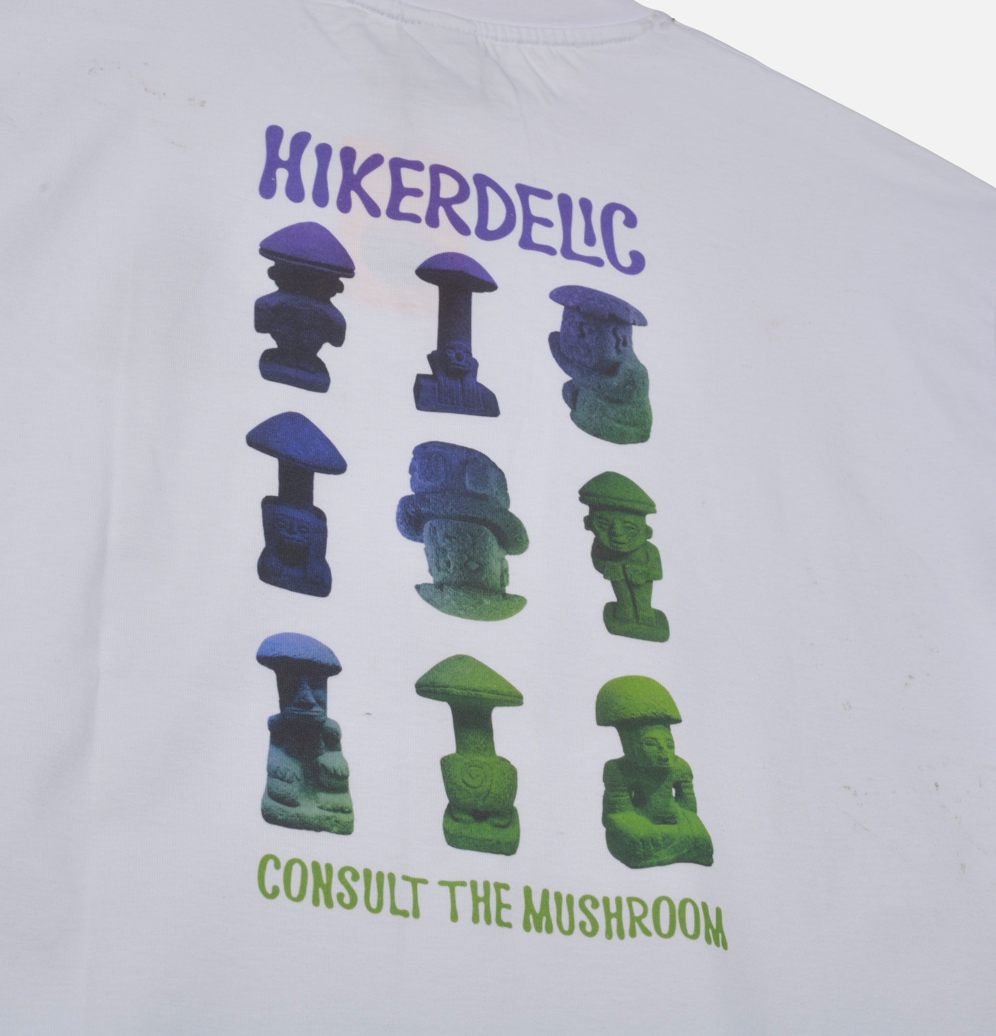 Hikerdelic Consult The Mushroom Tee White