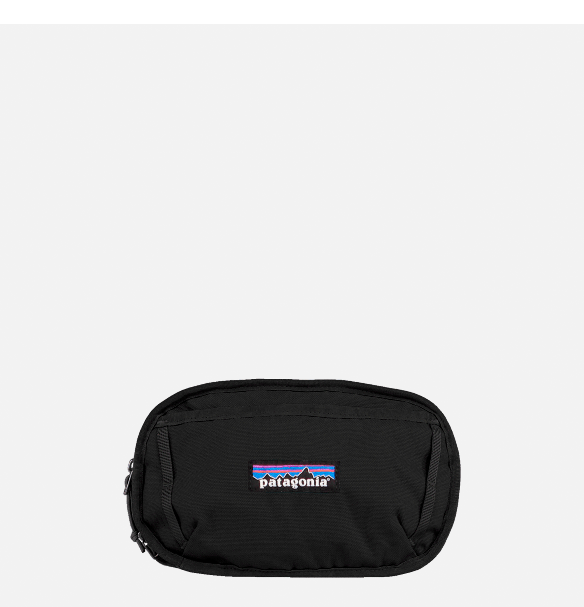 Patagonia Accessories Fieldsmith Hip Black