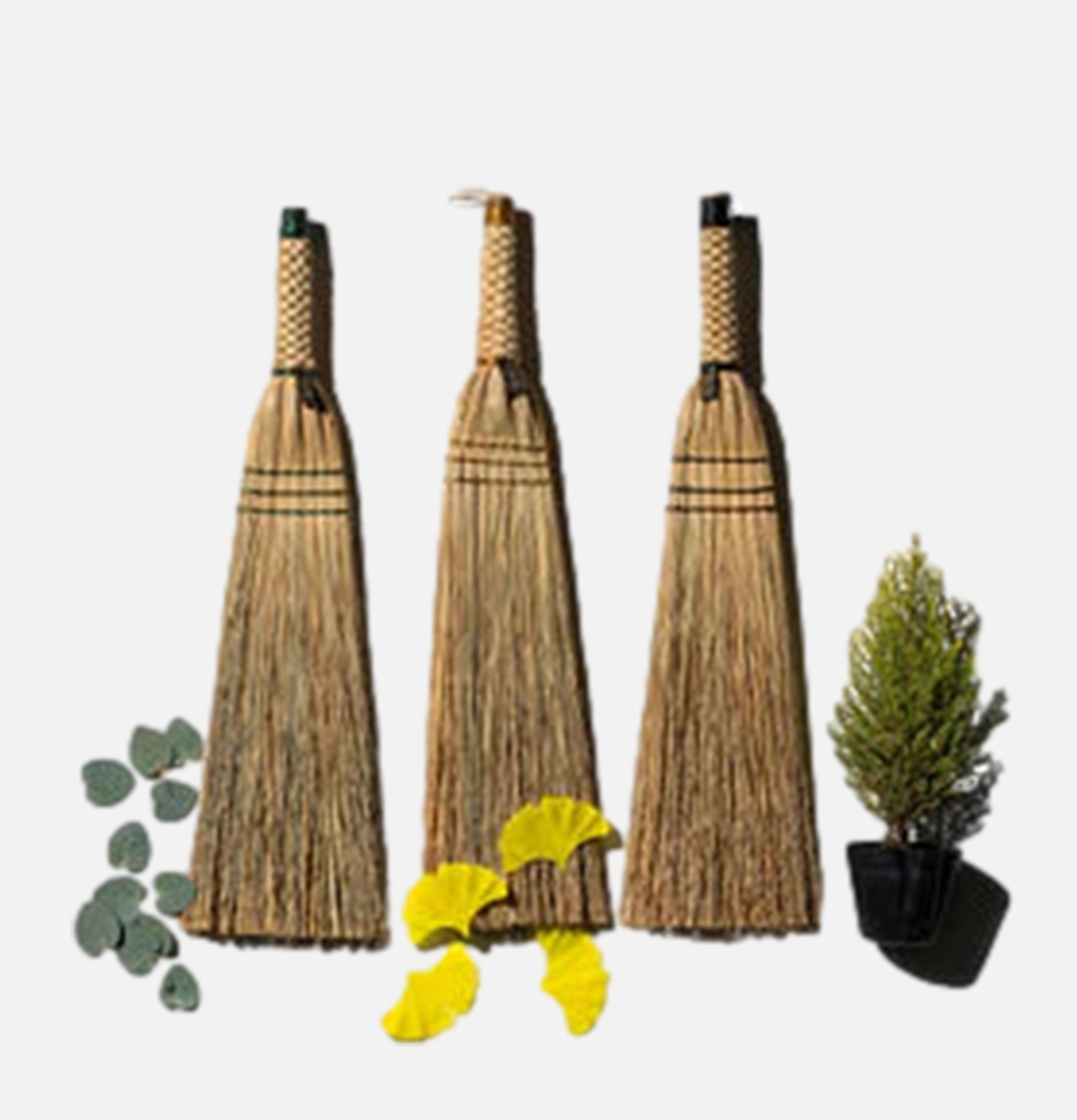 Puebco Hand Broom Beige