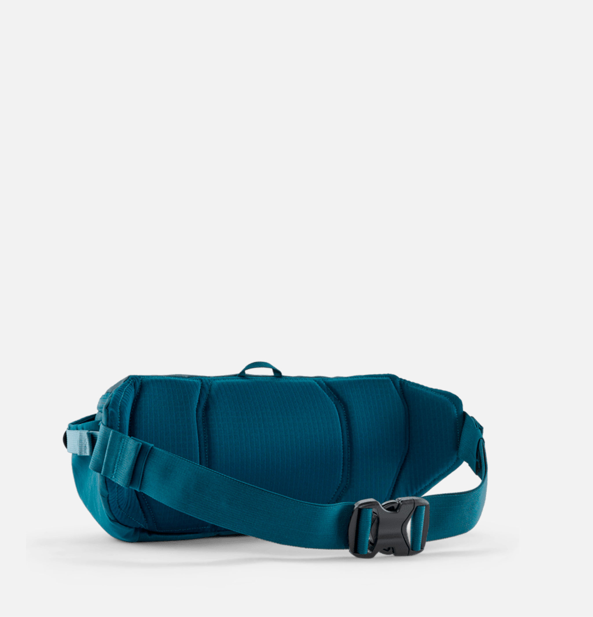 Black Hole® Waist Pack Teal Blue Patagonia Accessories