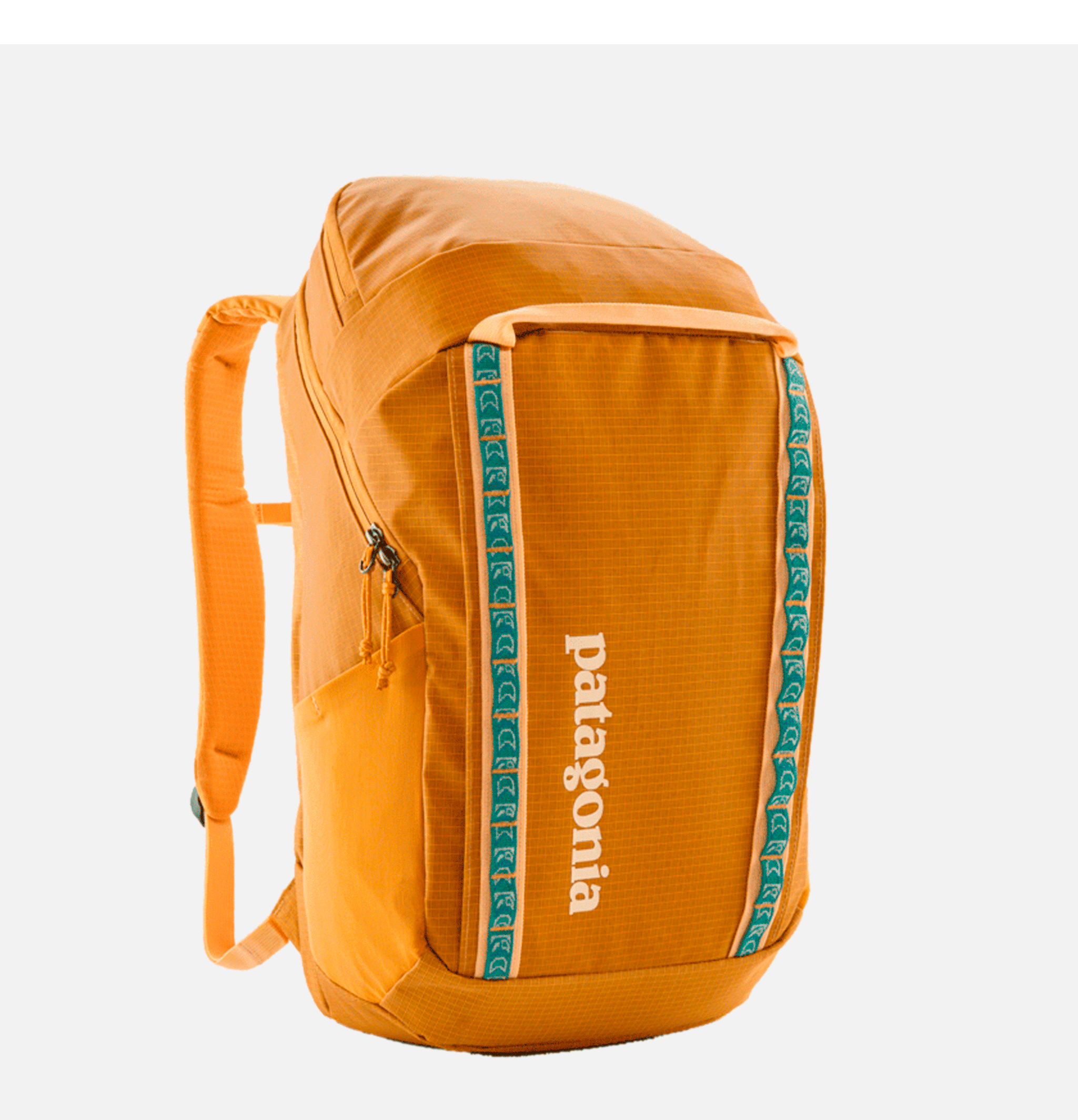 Patagonia Black Hole 32l Pufferfish Gold
