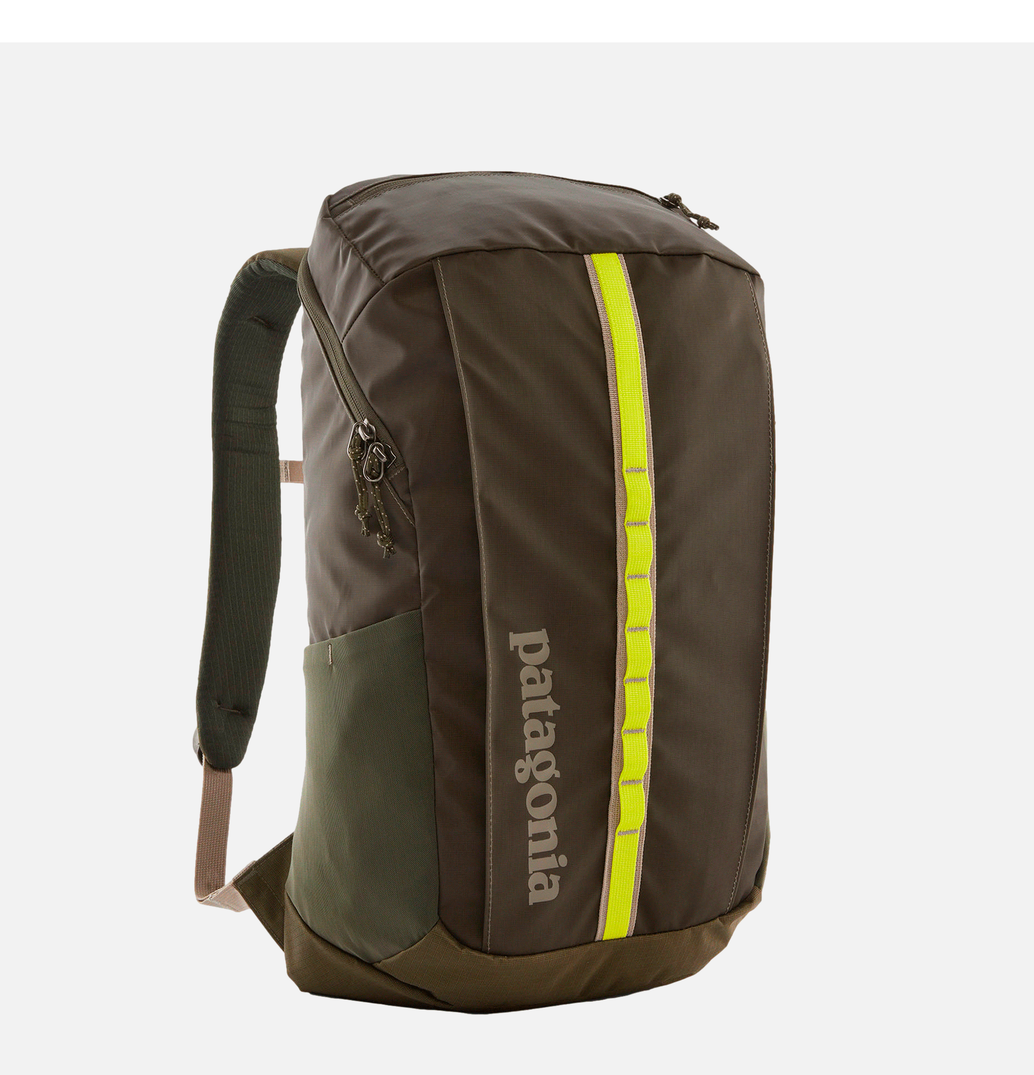 Patagonia AccessoiresBlack Hole 25l Pineneedlegreen