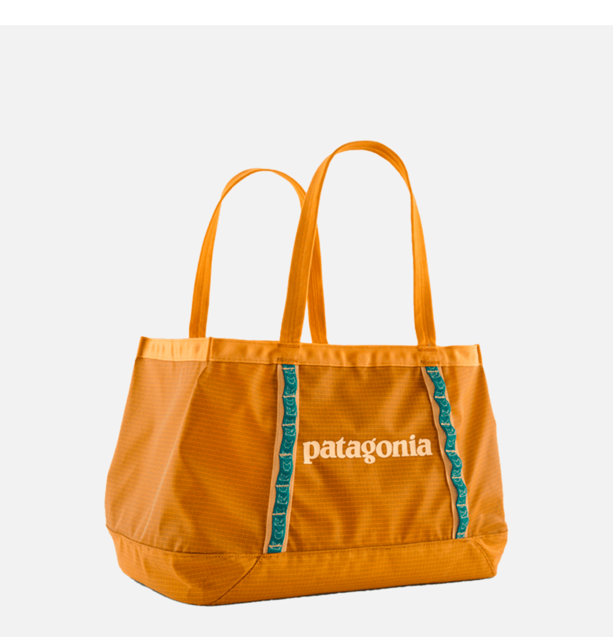 Patagonia Accessories Black Hole Tote 25l Pufferfish Gold