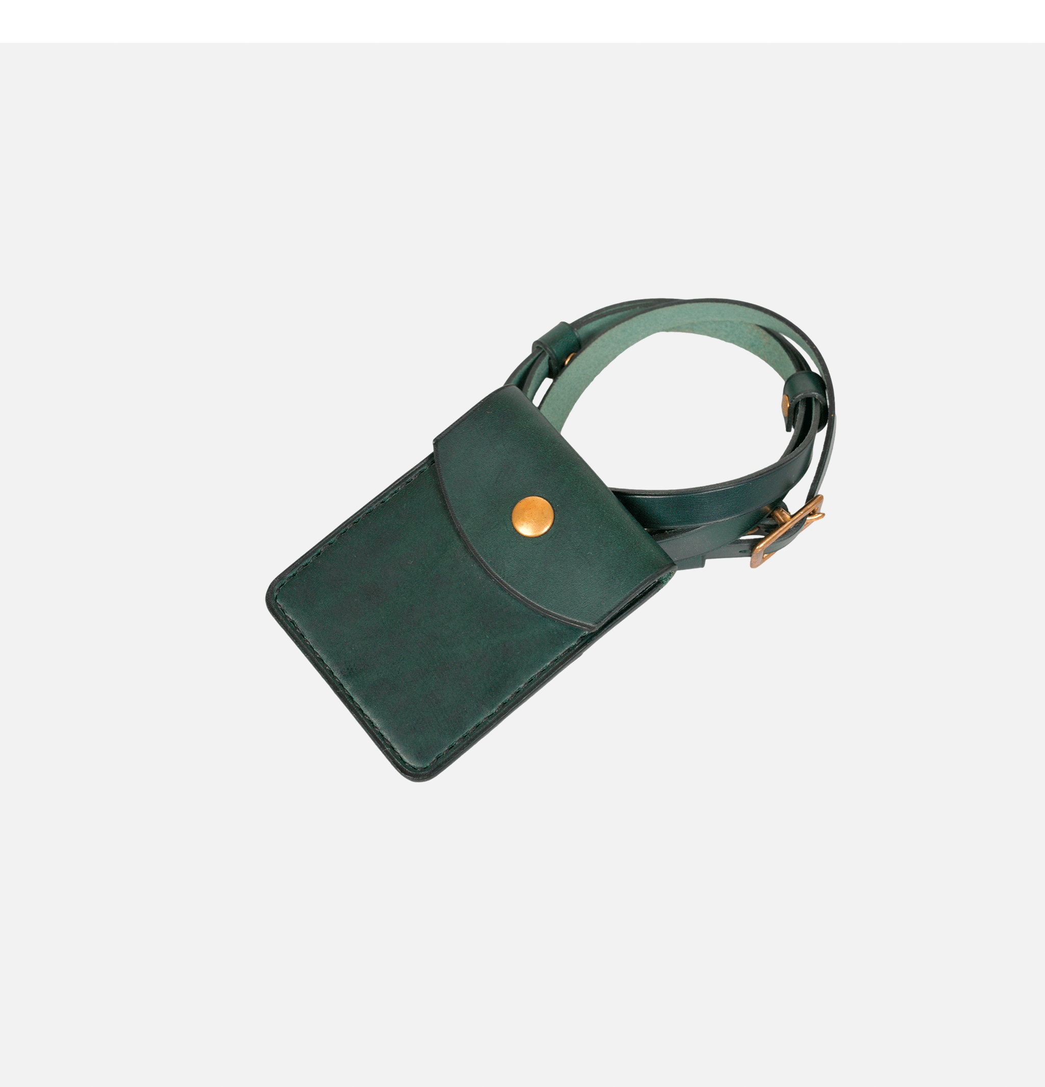 L'anguille Green Card Case