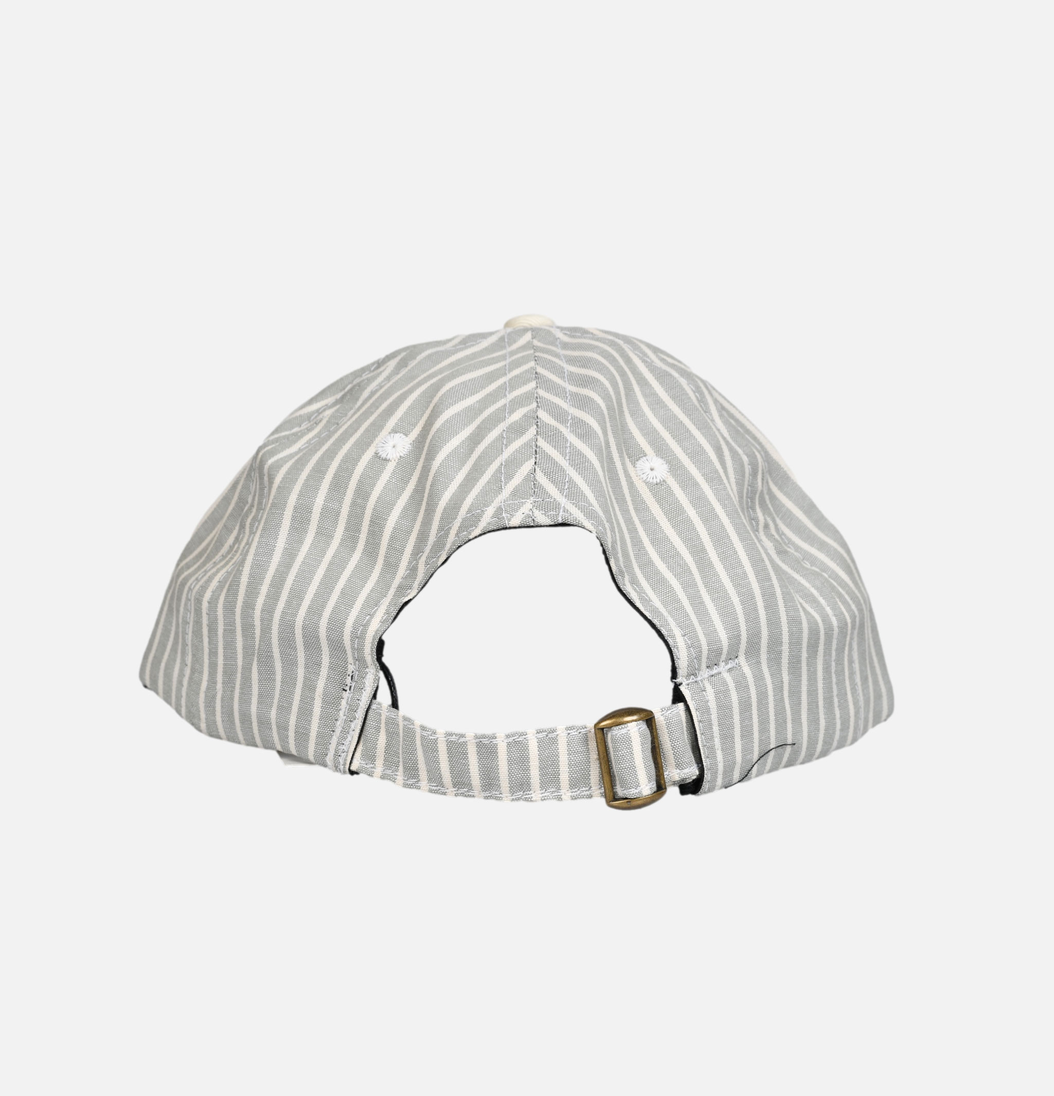Lite Year Two Tone 6 Panel - Sage Stripe