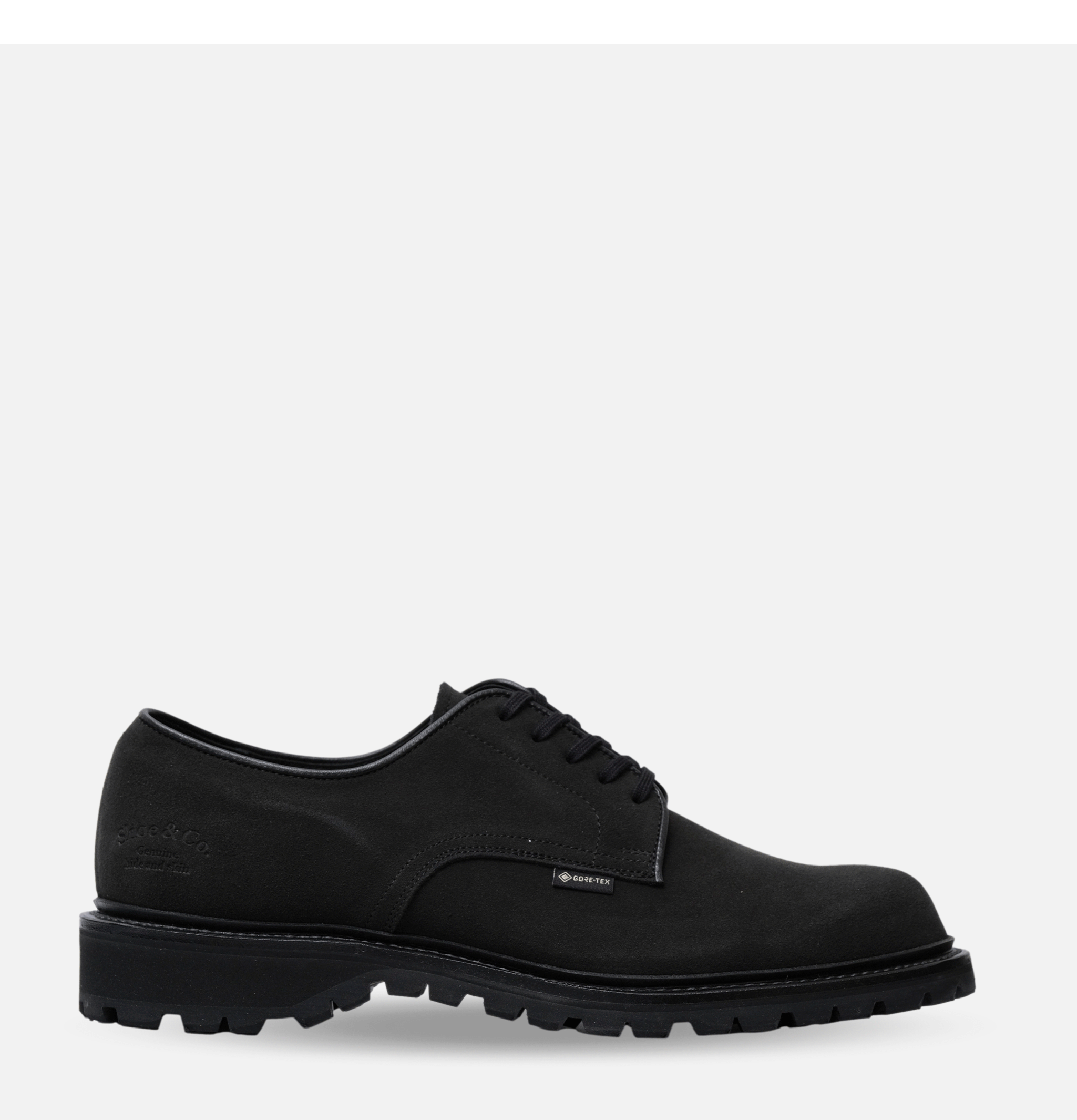 Regal Shoe & Co Chaussures Plaintoe Gtx Suede Blk Goretex