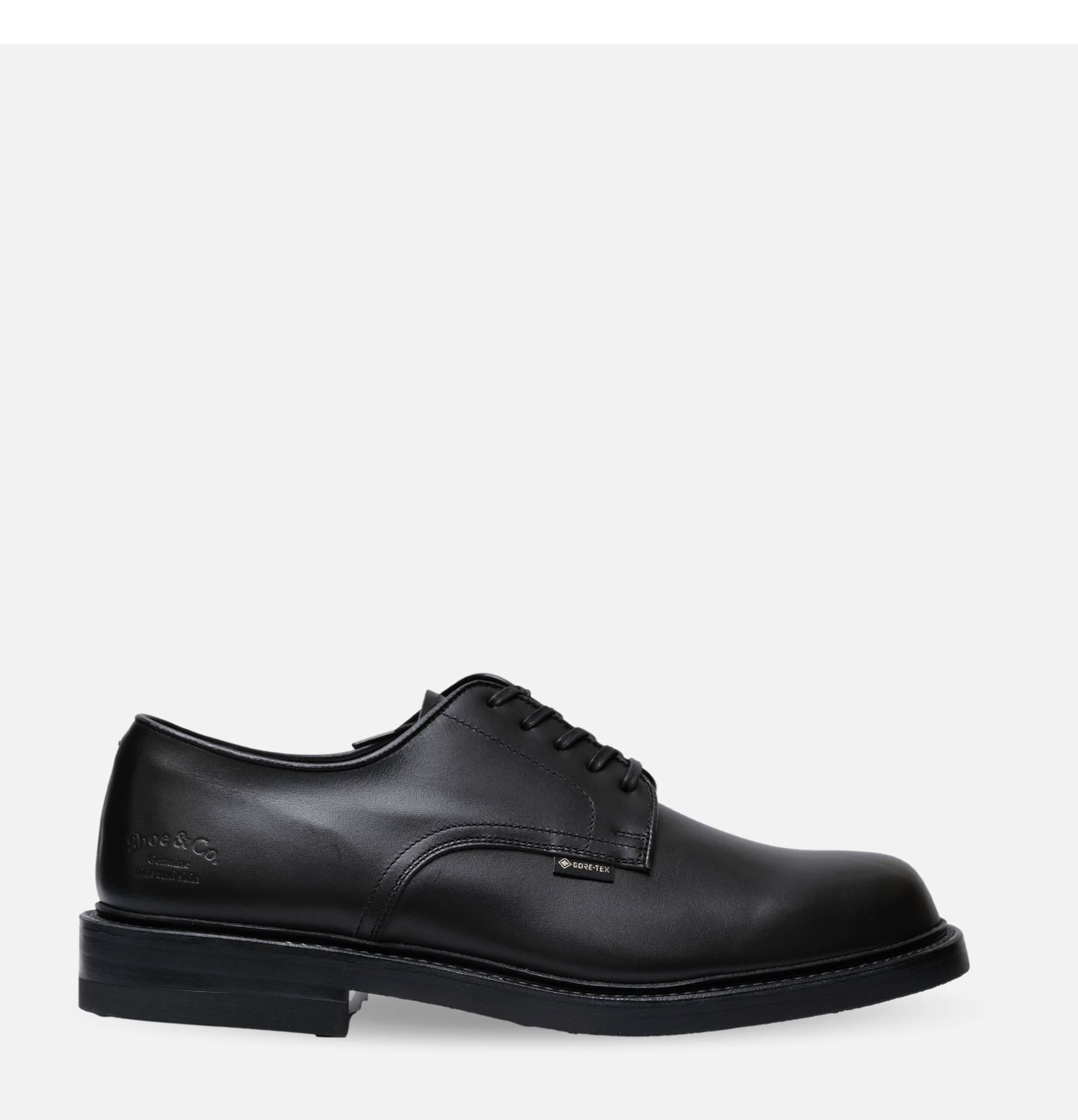 Regal Shoe & Co Plain-toe Gortex Shoes Black