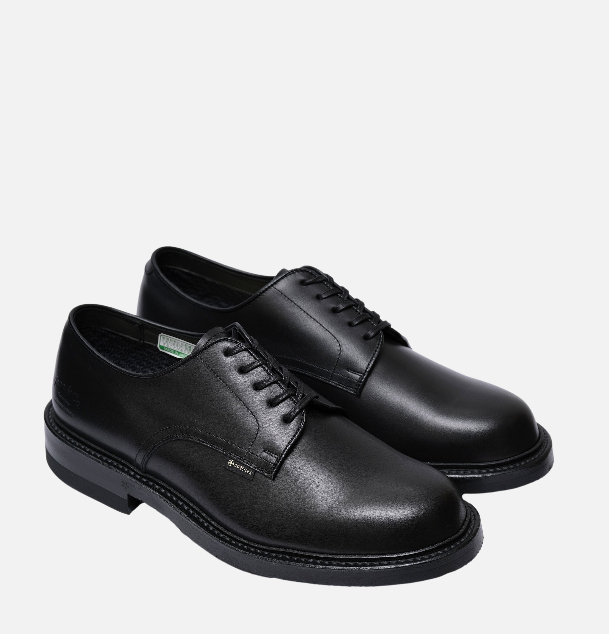 Regal Shoe & Co Plain-toe Gortex Shoes Black