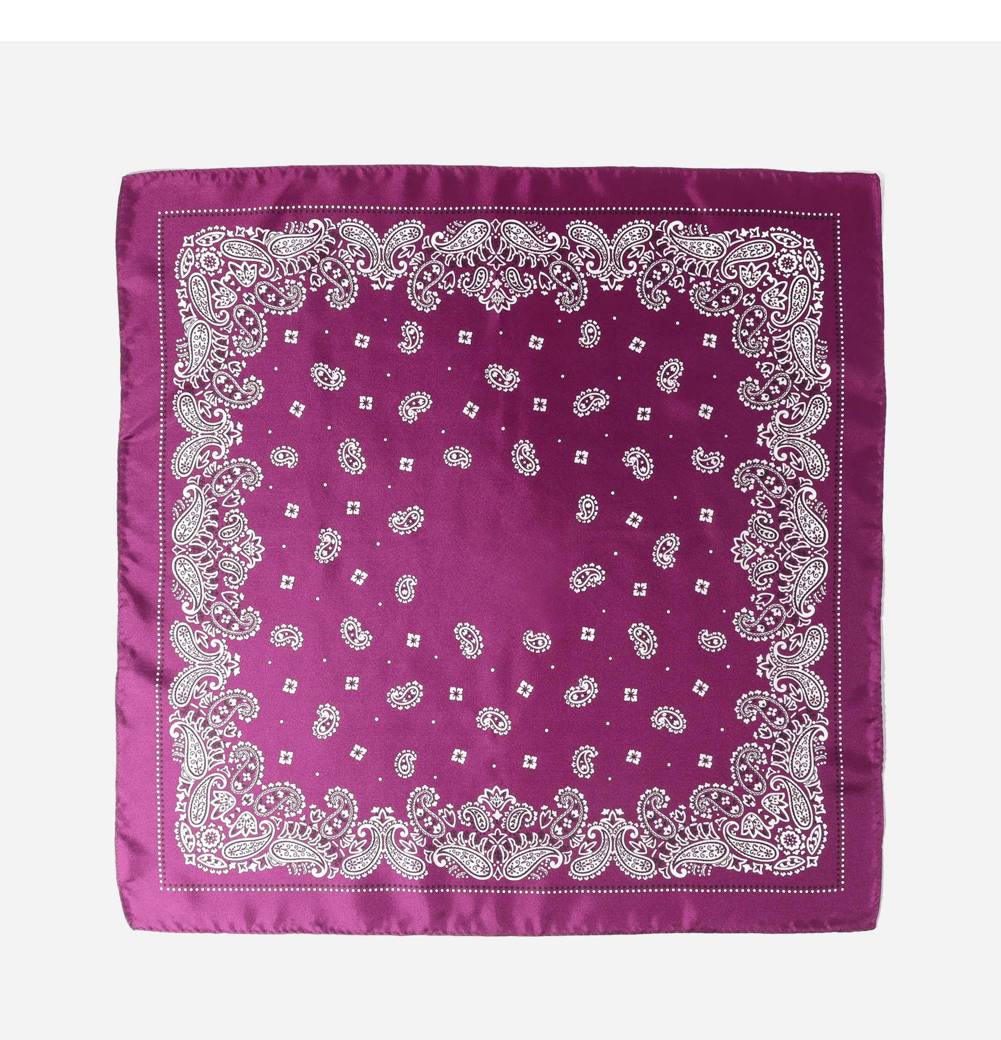 Anonymous Ism Paisley Foulard Soie Violet