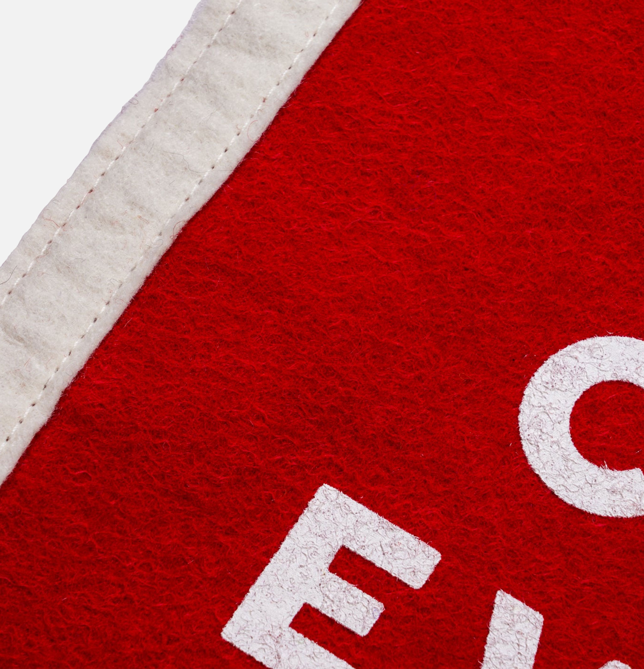 Oxford Pennant Celebrate Everything Pennant Rouge