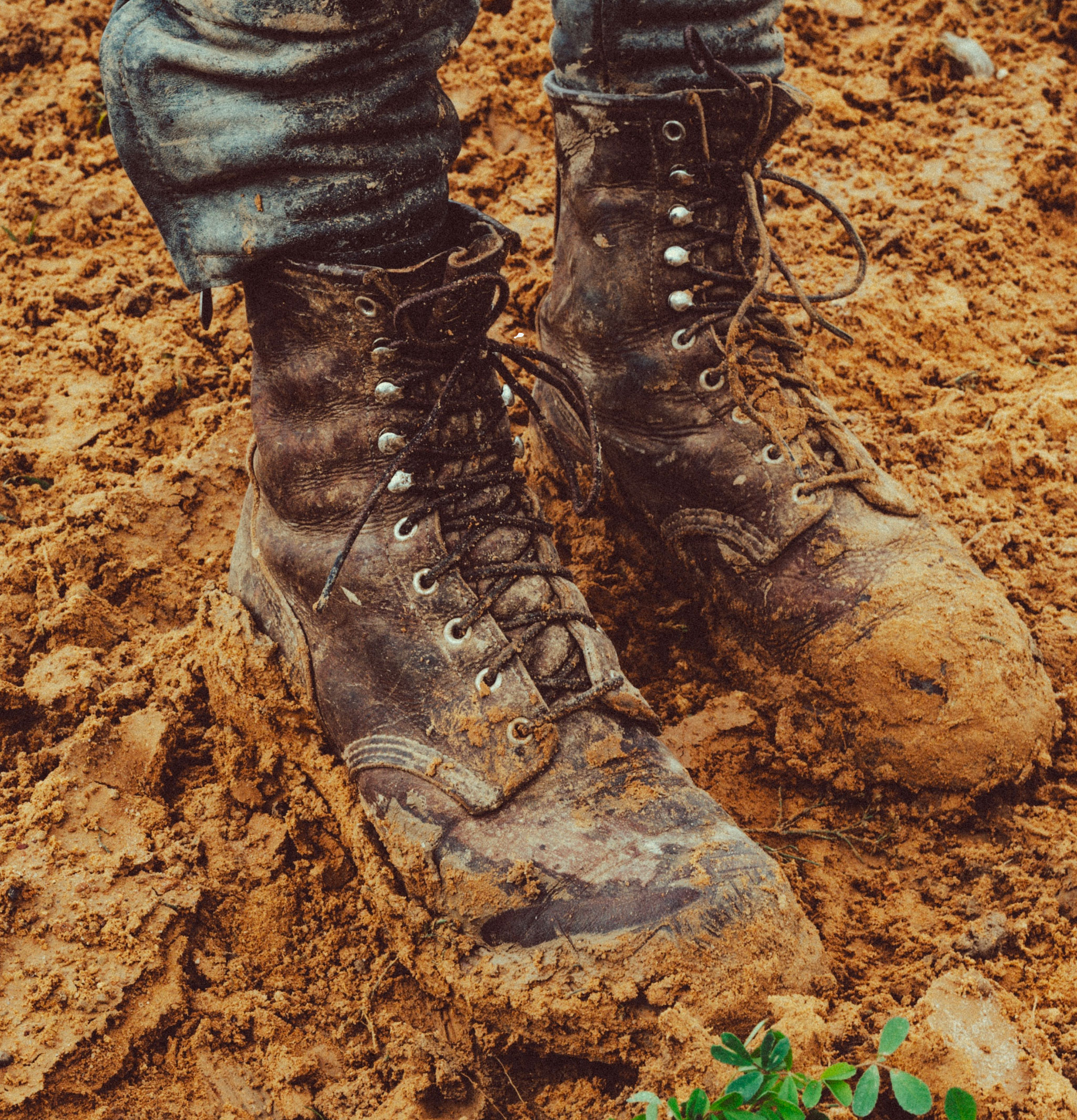 4585 - Logger Boot Briar