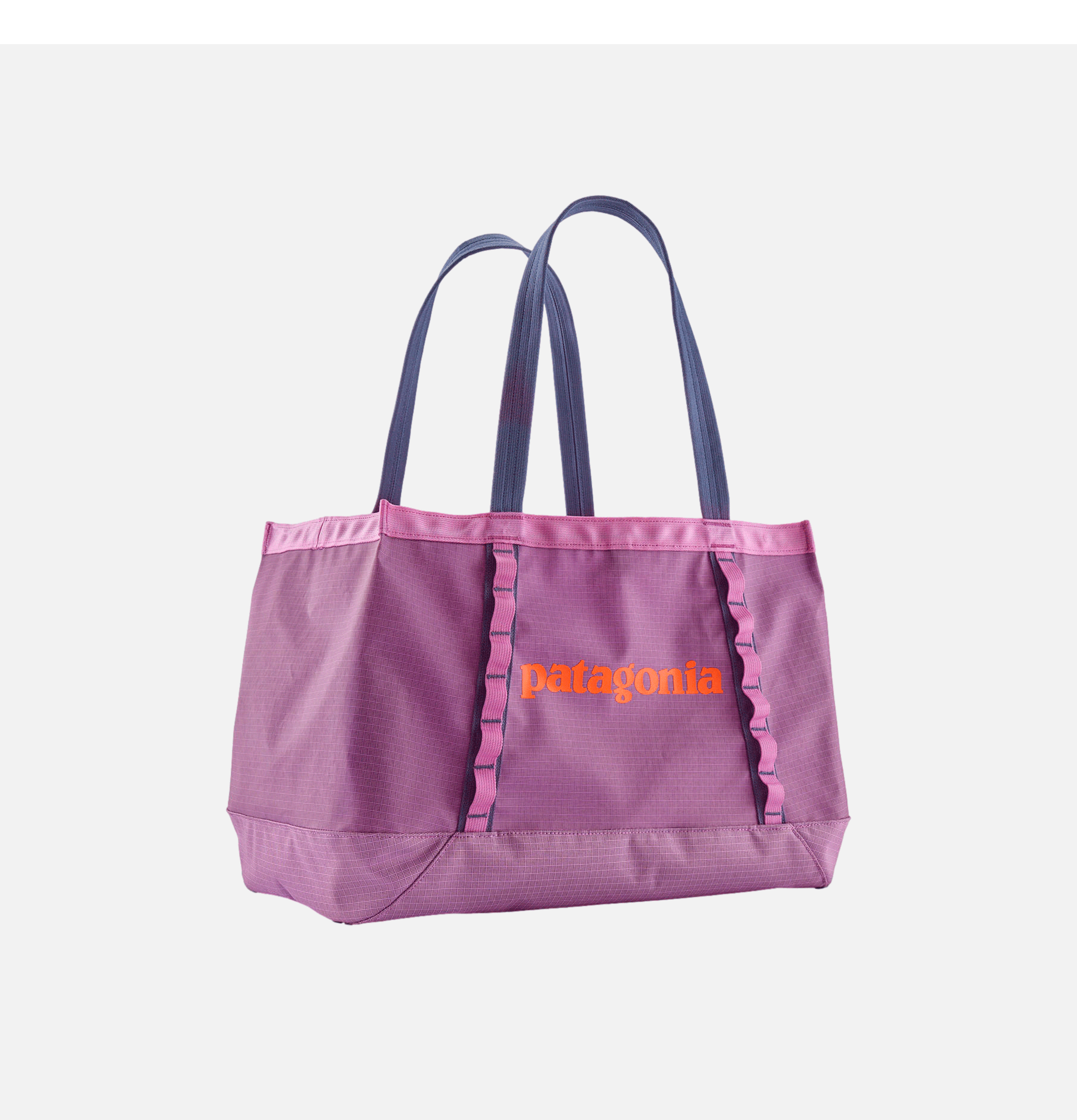 Black Hole Tote 25l Brisk Purp