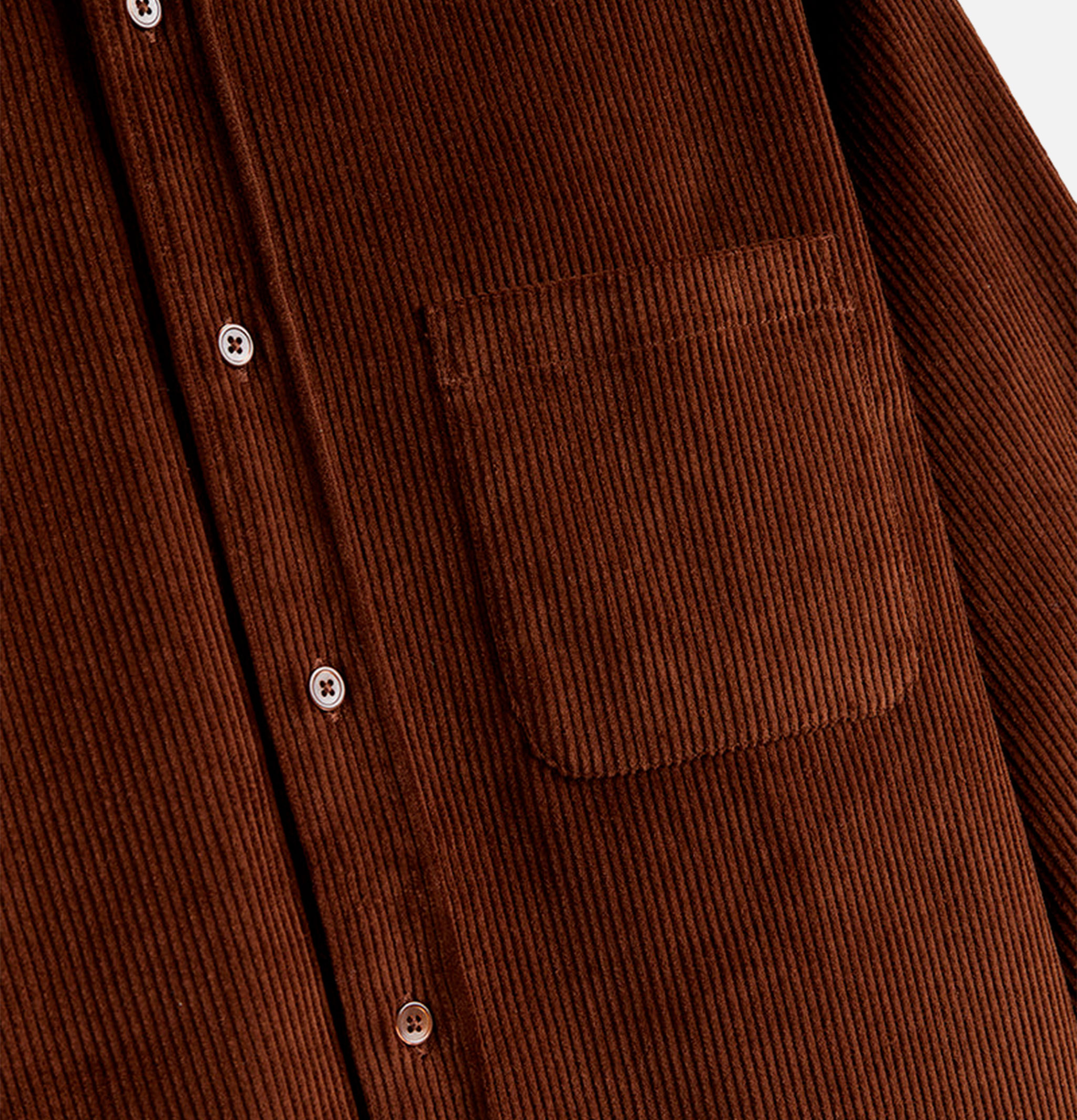 Chemise Lobo 2.0 Brown