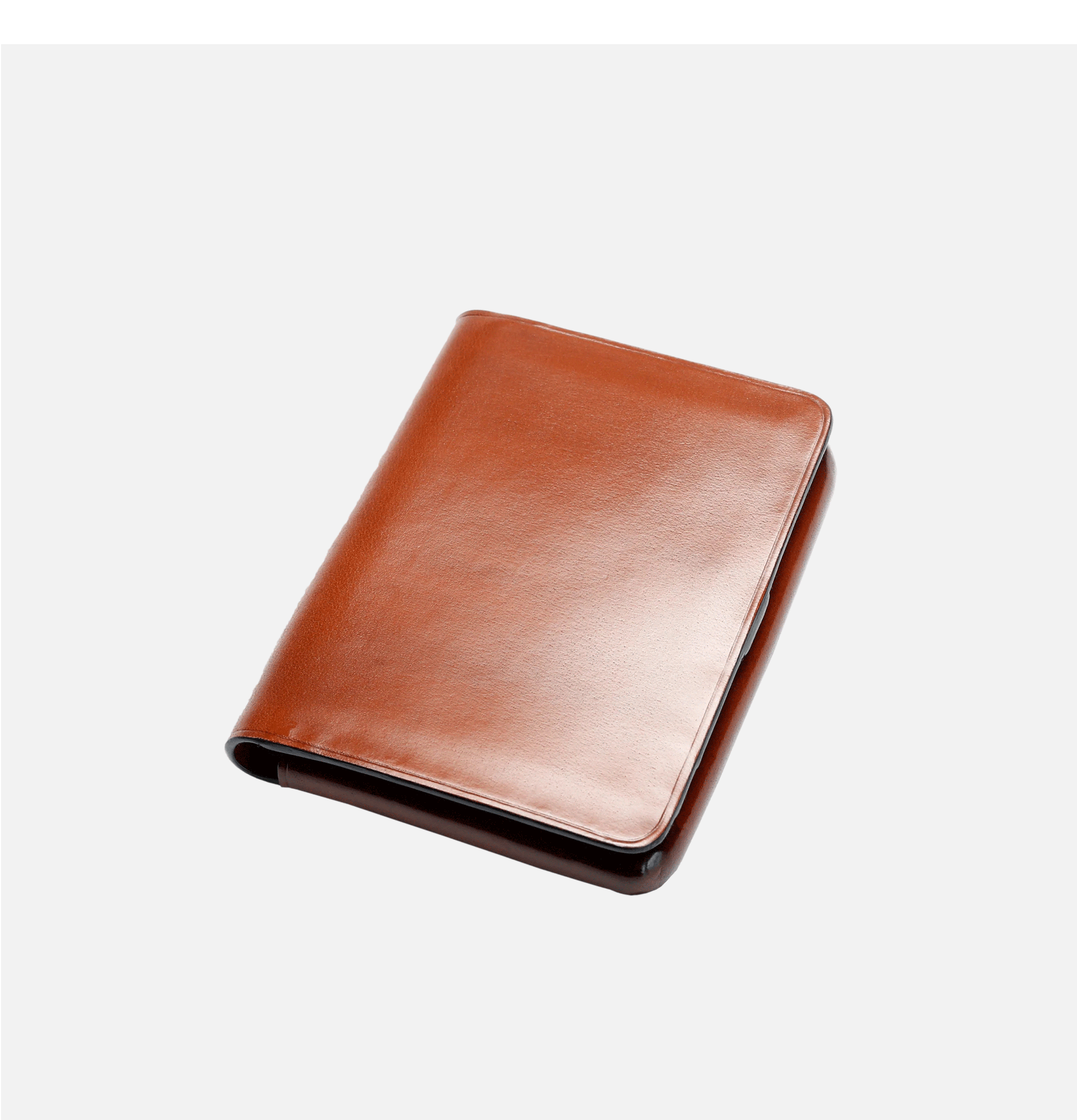 Document Case Light Brown