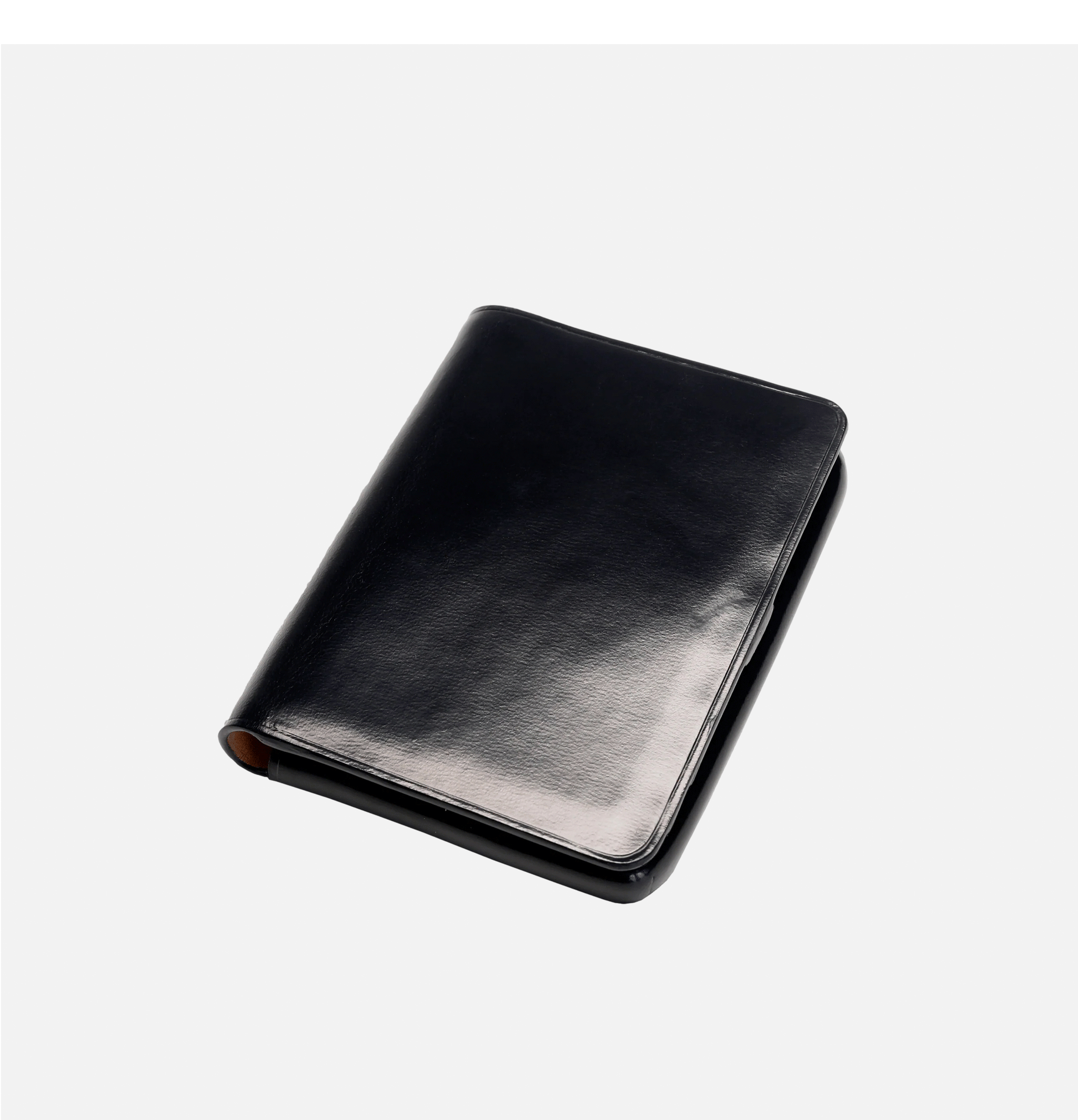 Document Case Black