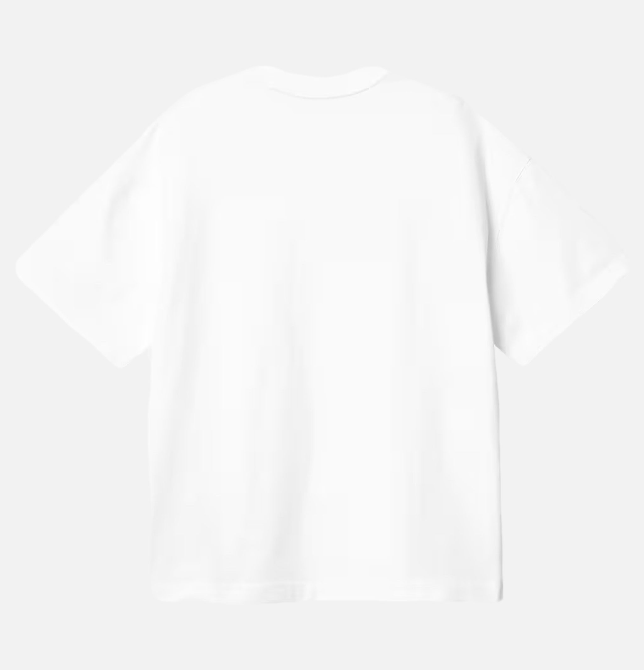 Carhartt WIP T-shirt Link Script Blanc