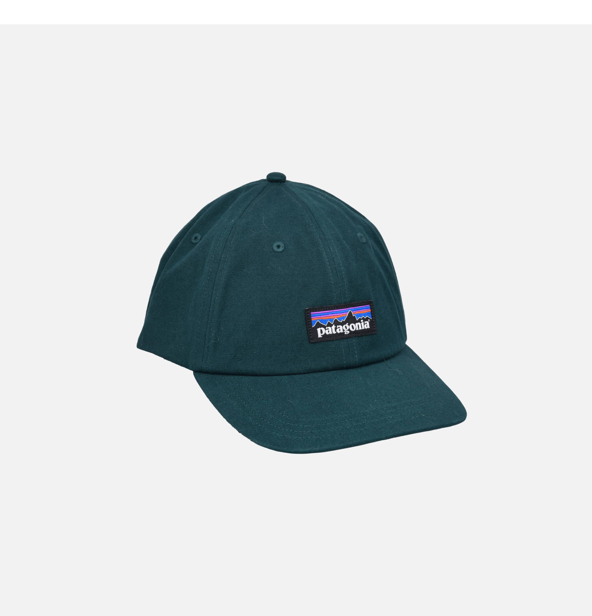 Patagonia P-6 Label Trad Cap Casg