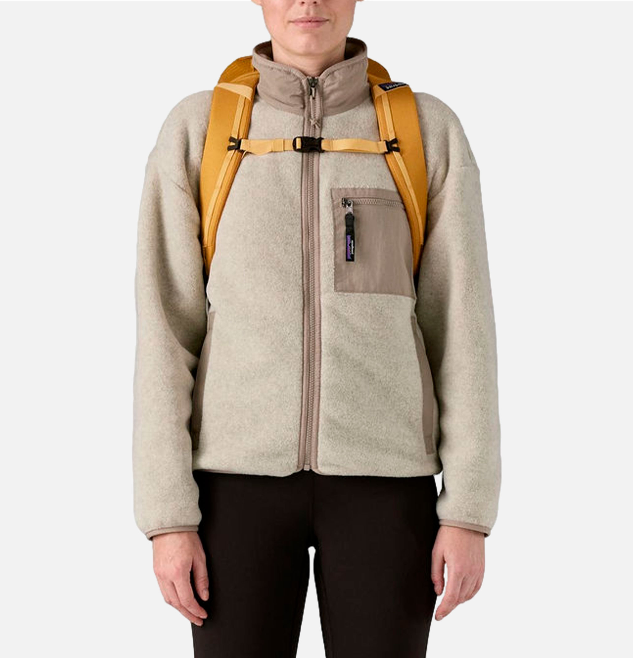 Patagonia Accessories Black Hole 25l Pufferfish Gold