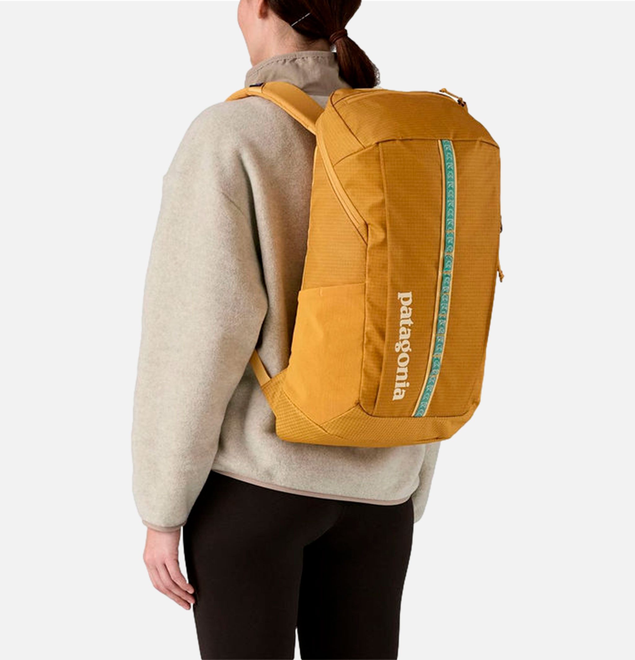 Patagonia Accessories Black Hole 25l Pufferfish Gold