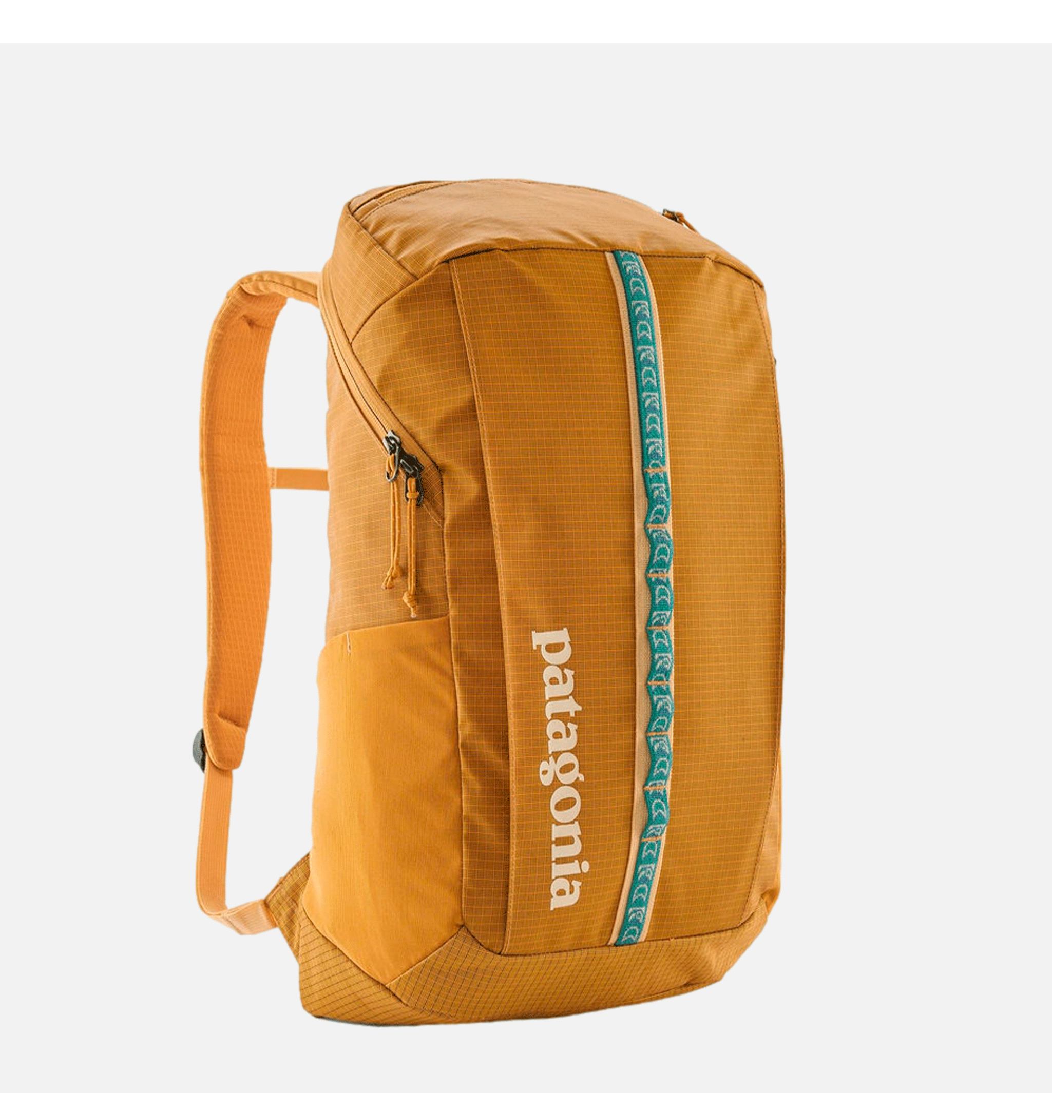 Patagonia Accessories Black Hole 25l Pufferfish Gold