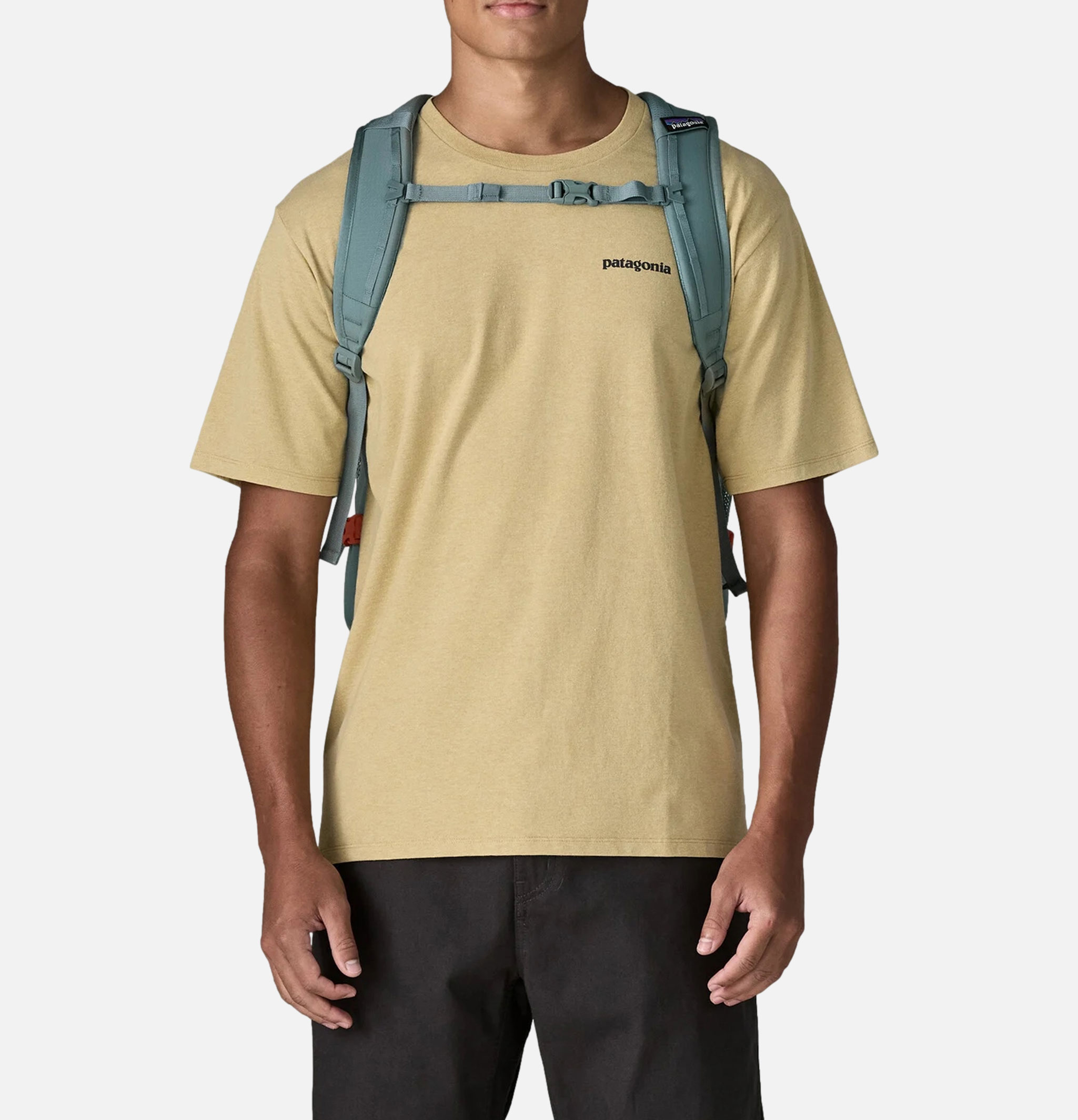 Patagonia Sac à dos Refugio Daypack Blue Sage