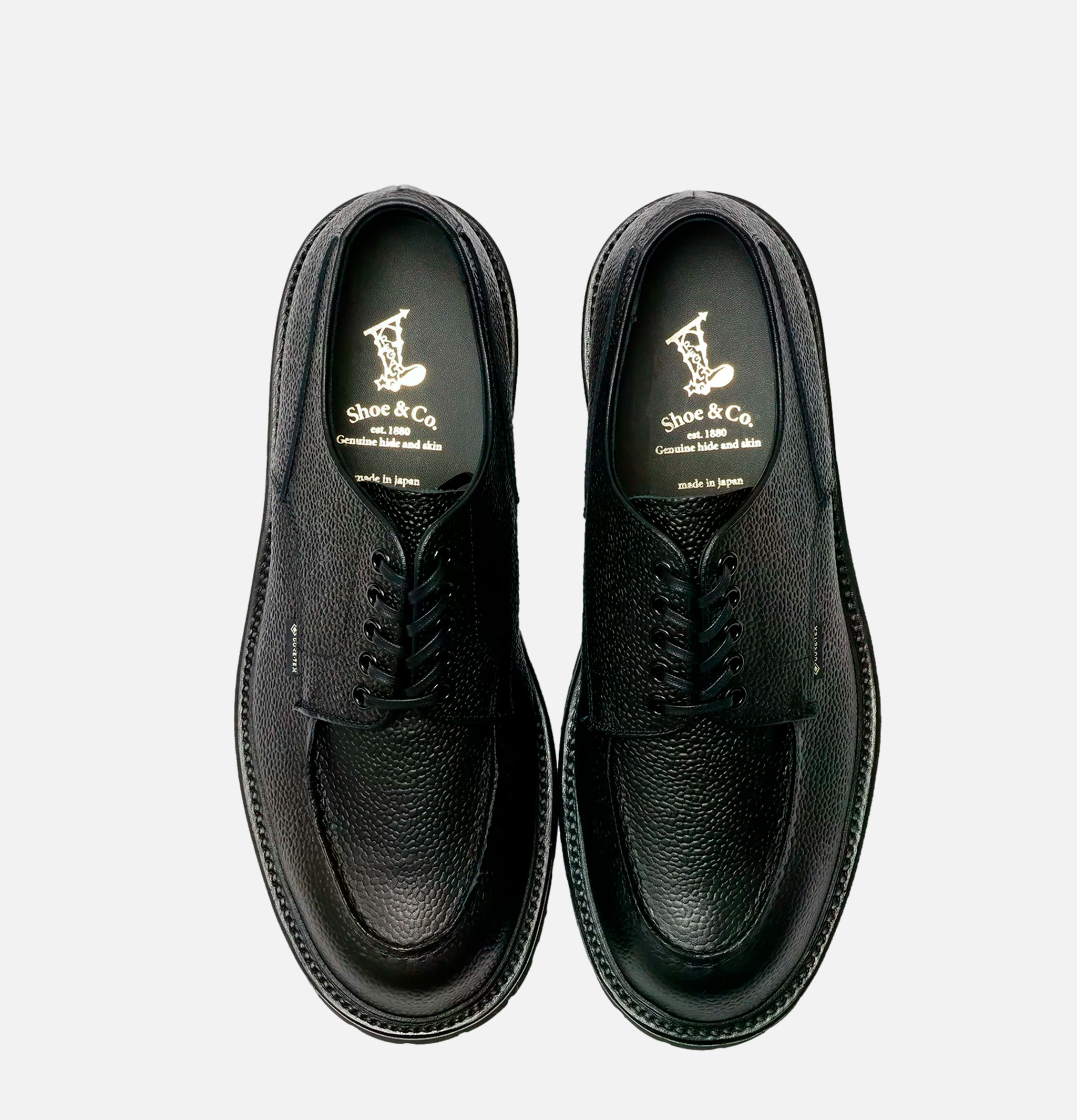 Regal Shoe & Co | U Tip Derby GoreTex | Royalcheese Shoes