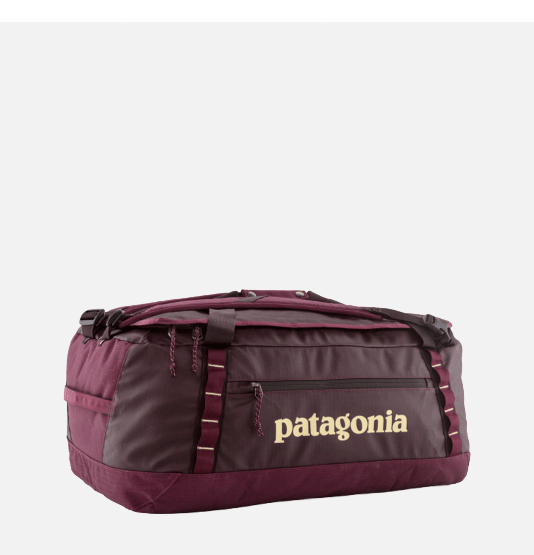 Sac de voyage Patagonia Black Hole® Duffel 55L Byfg
