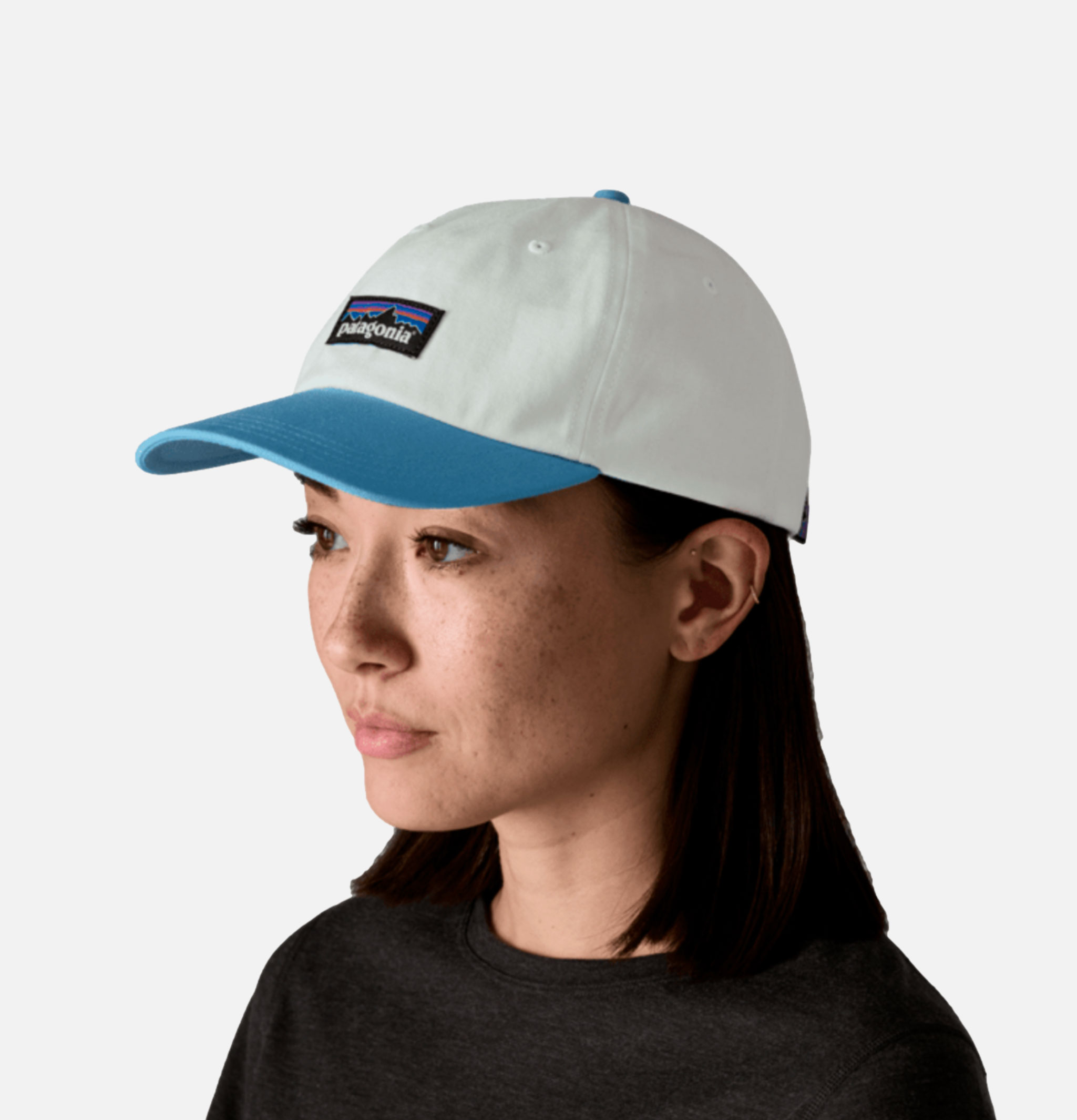 Patagonia P6 Label Trad Cap Bisb