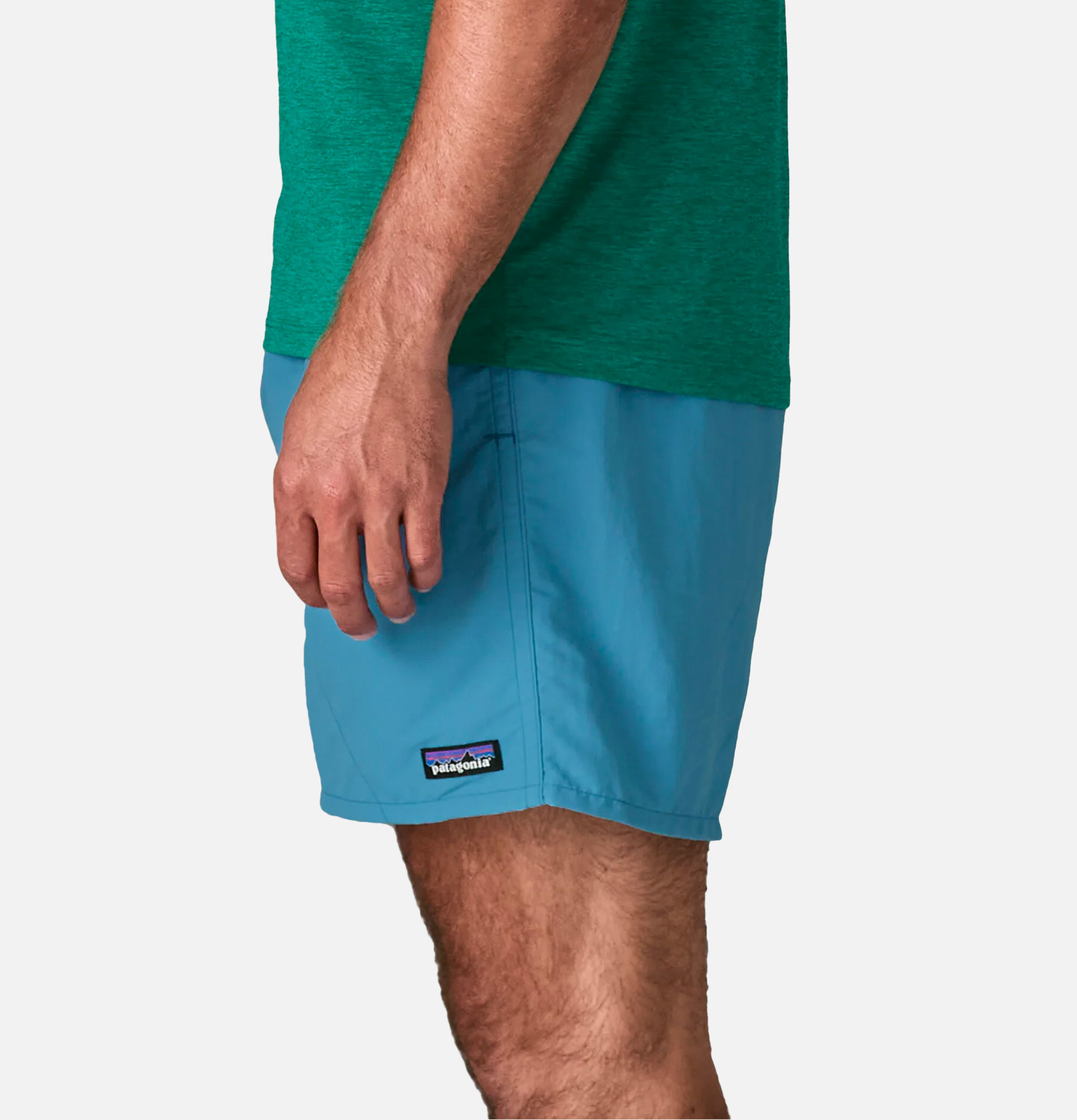 Patagonia Men's Baggies Shrb Shorts