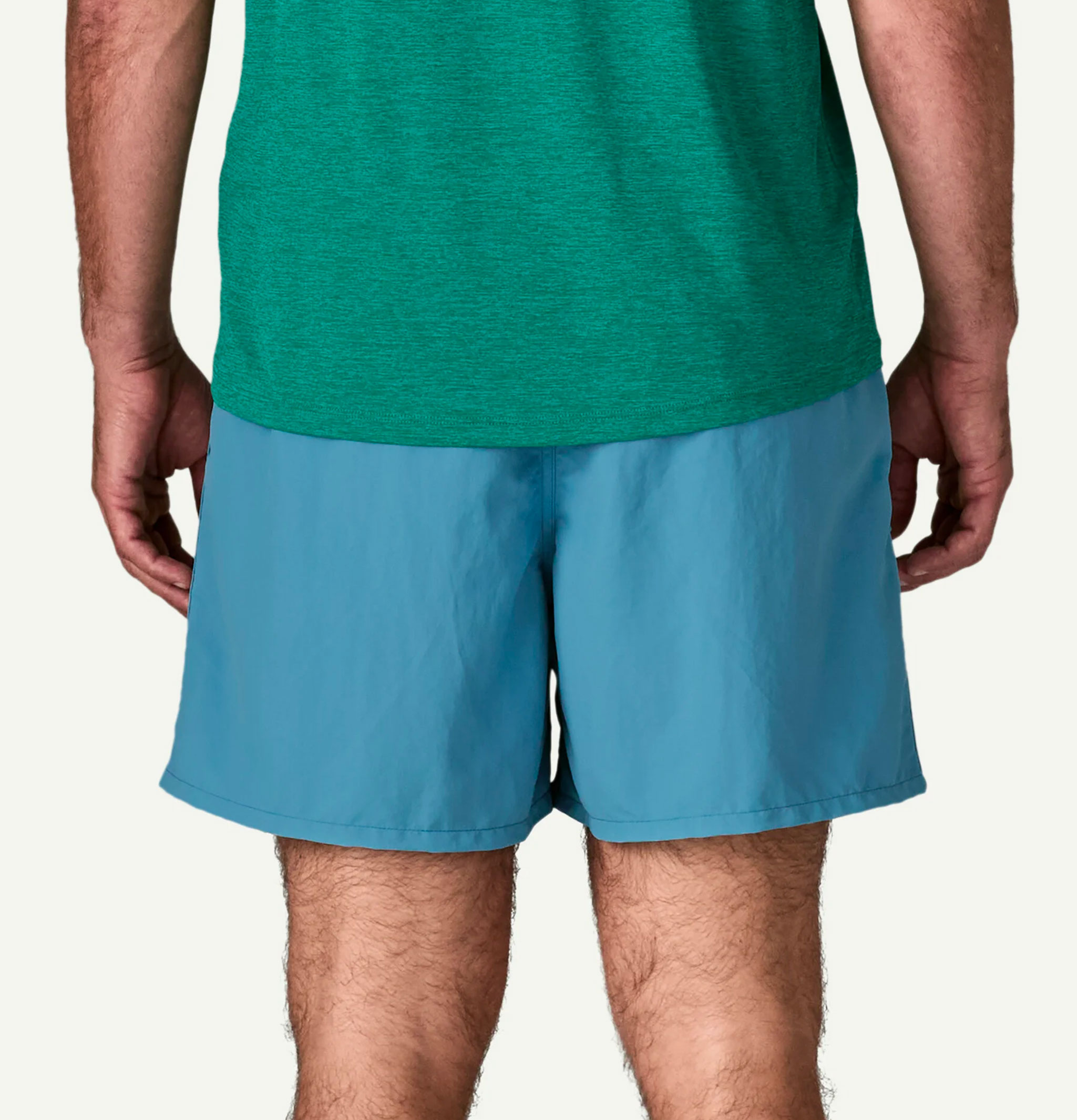 Patagonia Men's Baggies Shrb Shorts