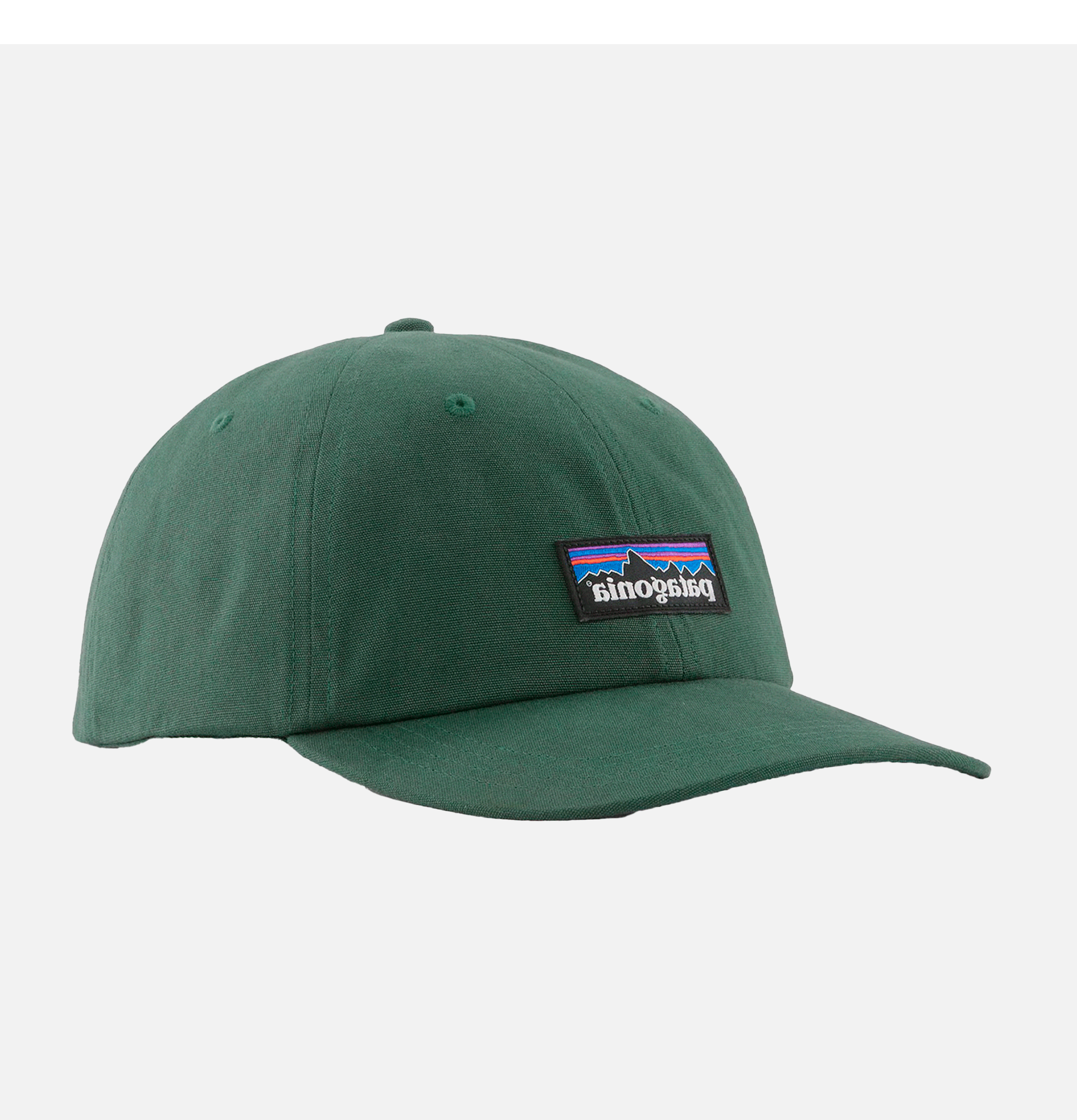 Patagonia P-6 Label Trad Cap Green